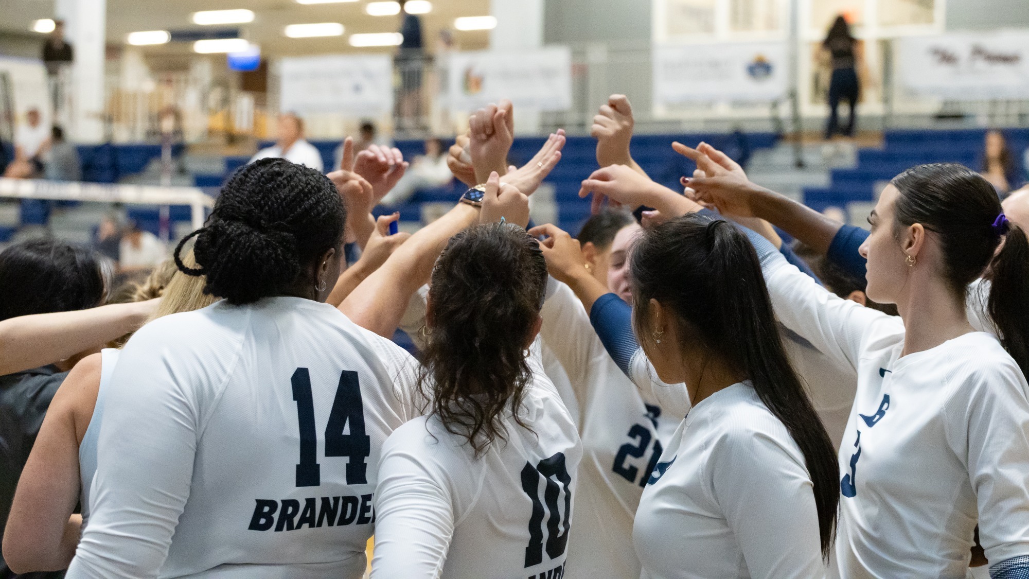 Brandeis volleyball players in a huddle, hands up high  in the middle of the circle