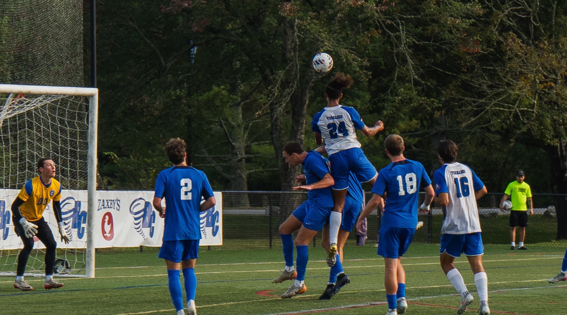 Will hall v covenant 25