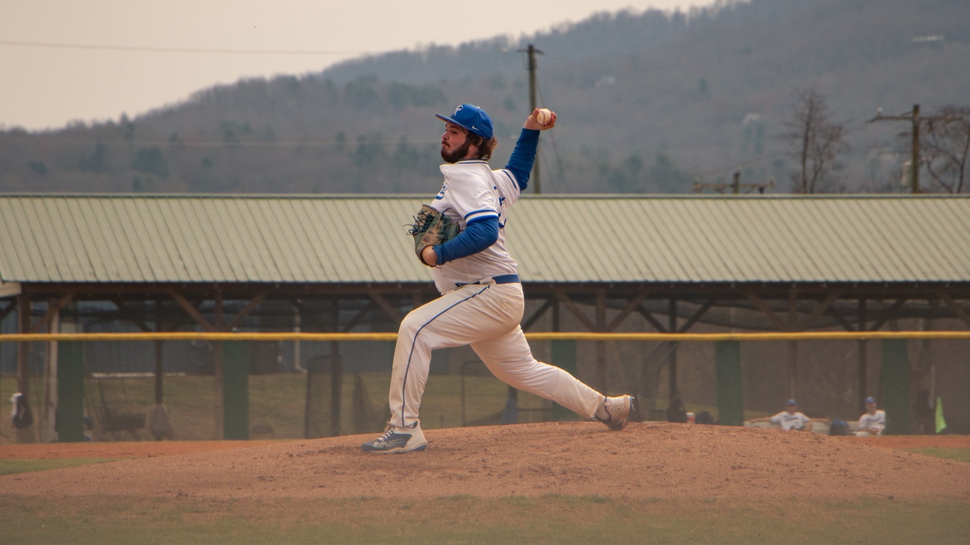 matthew evans 26 bsb