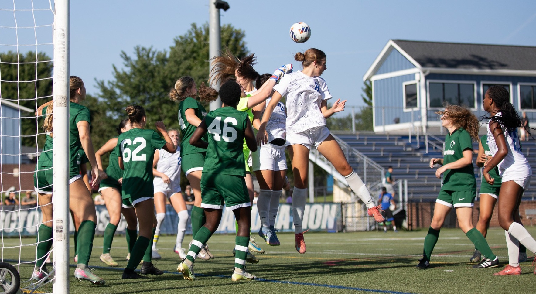 Bella Labno Header 2026
