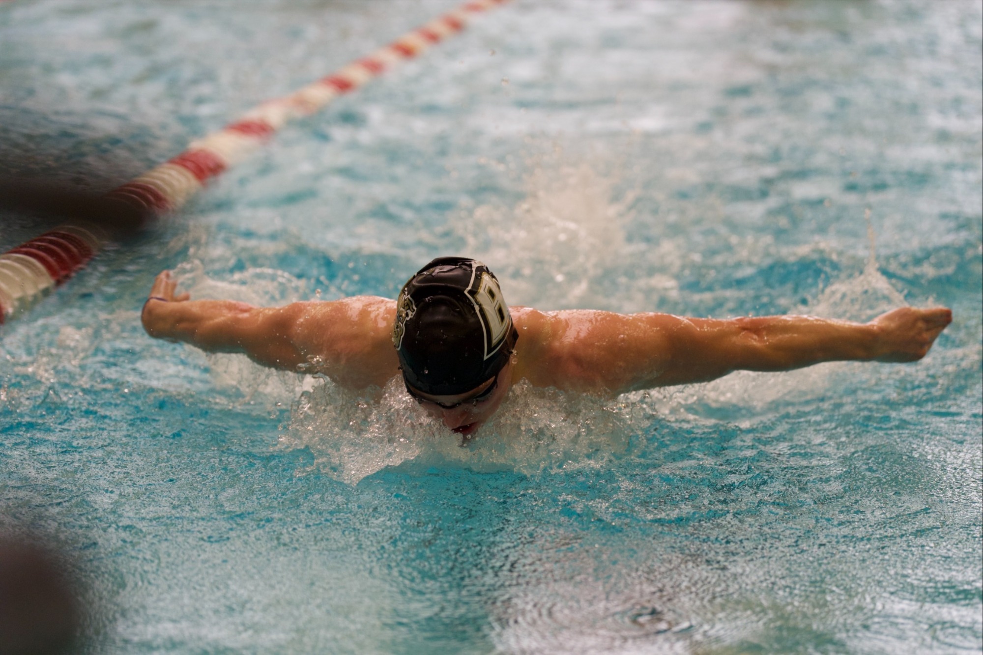 mens swim and dive