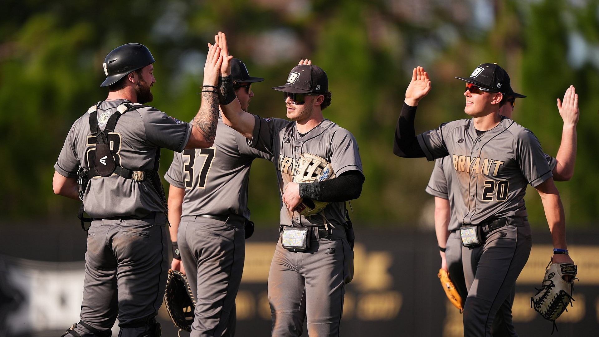 Baseball Celebrates Victory