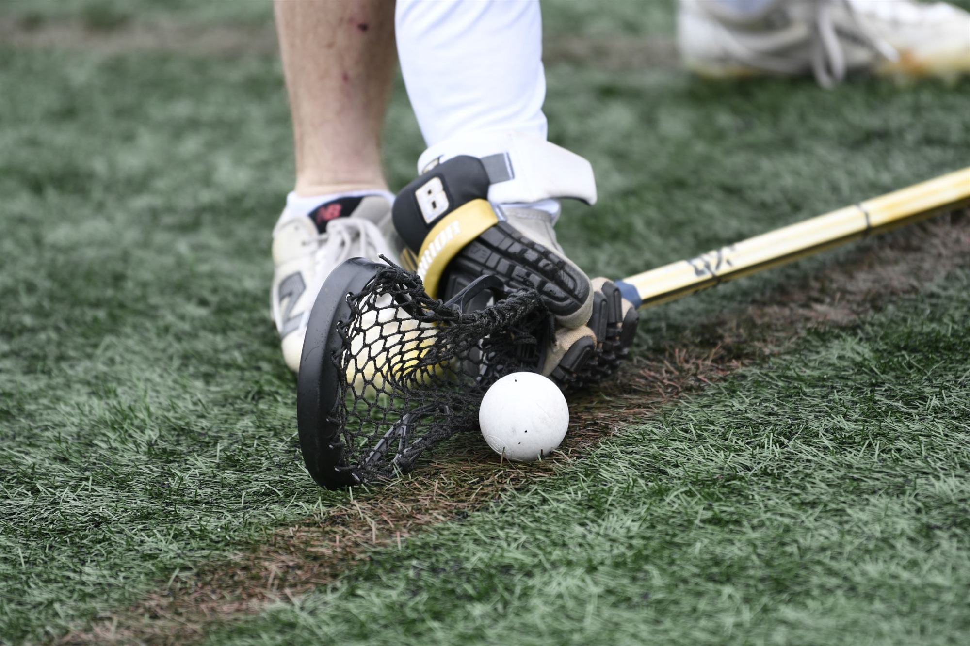 close-up of a lacrosse ball and stick