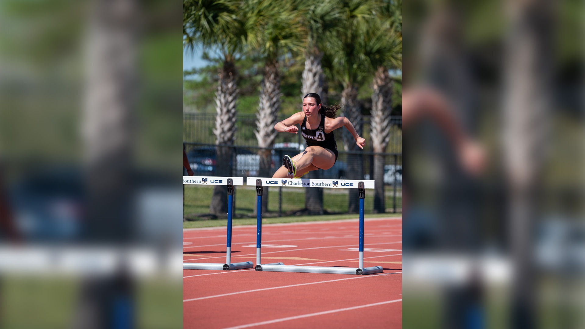 Madison Guerrera leaps over a hurdle on her way to setting the all-time school record