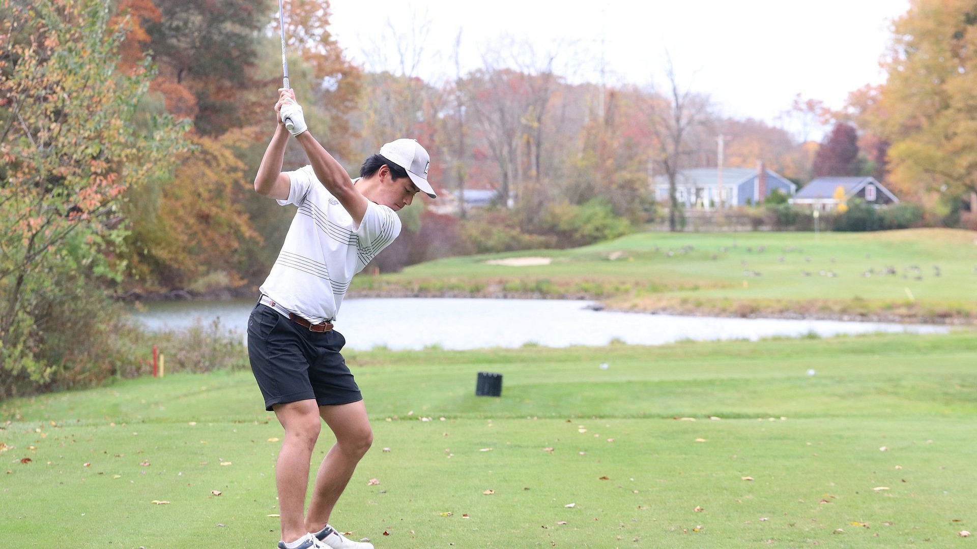 Matthew Young golf swing