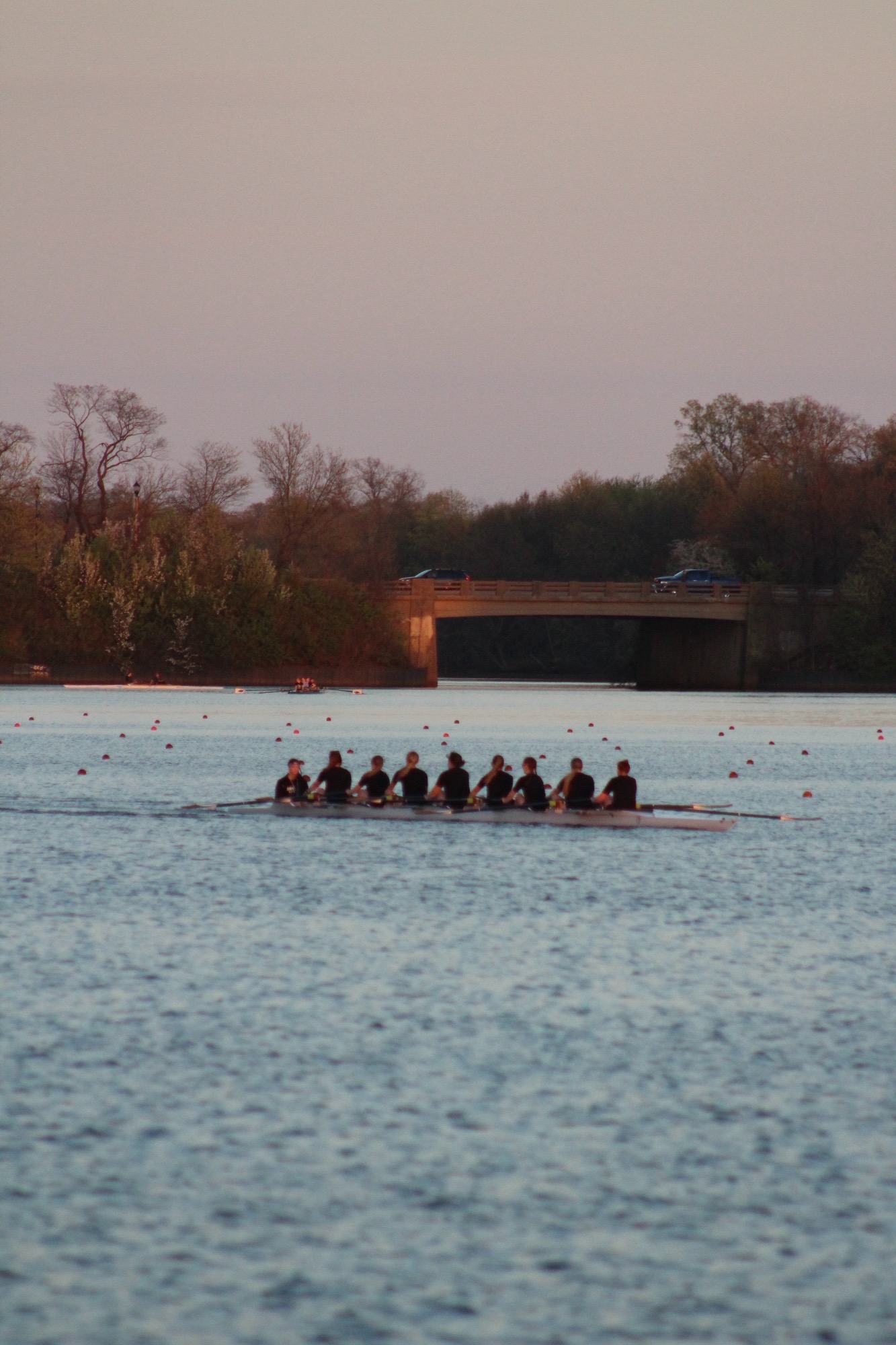 Sunset row picture 