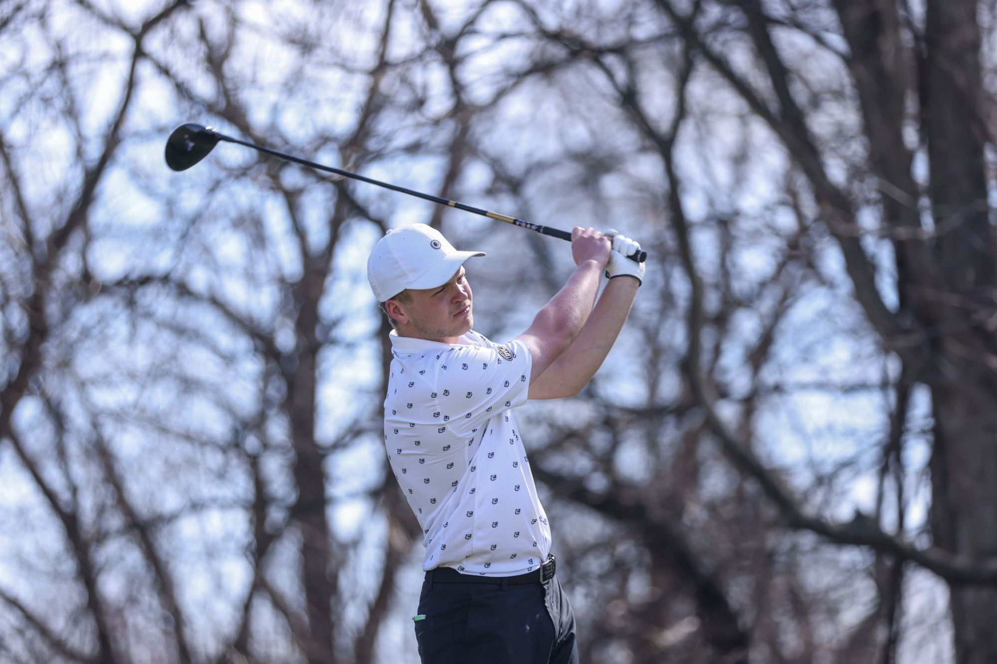 Golf Swing