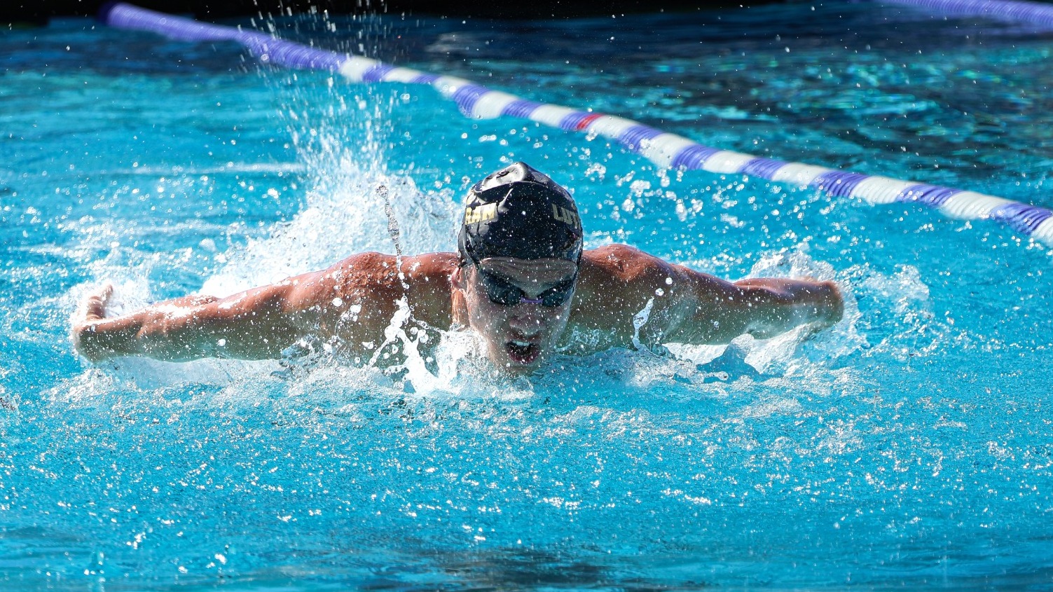 mens swim dive 11.8.25