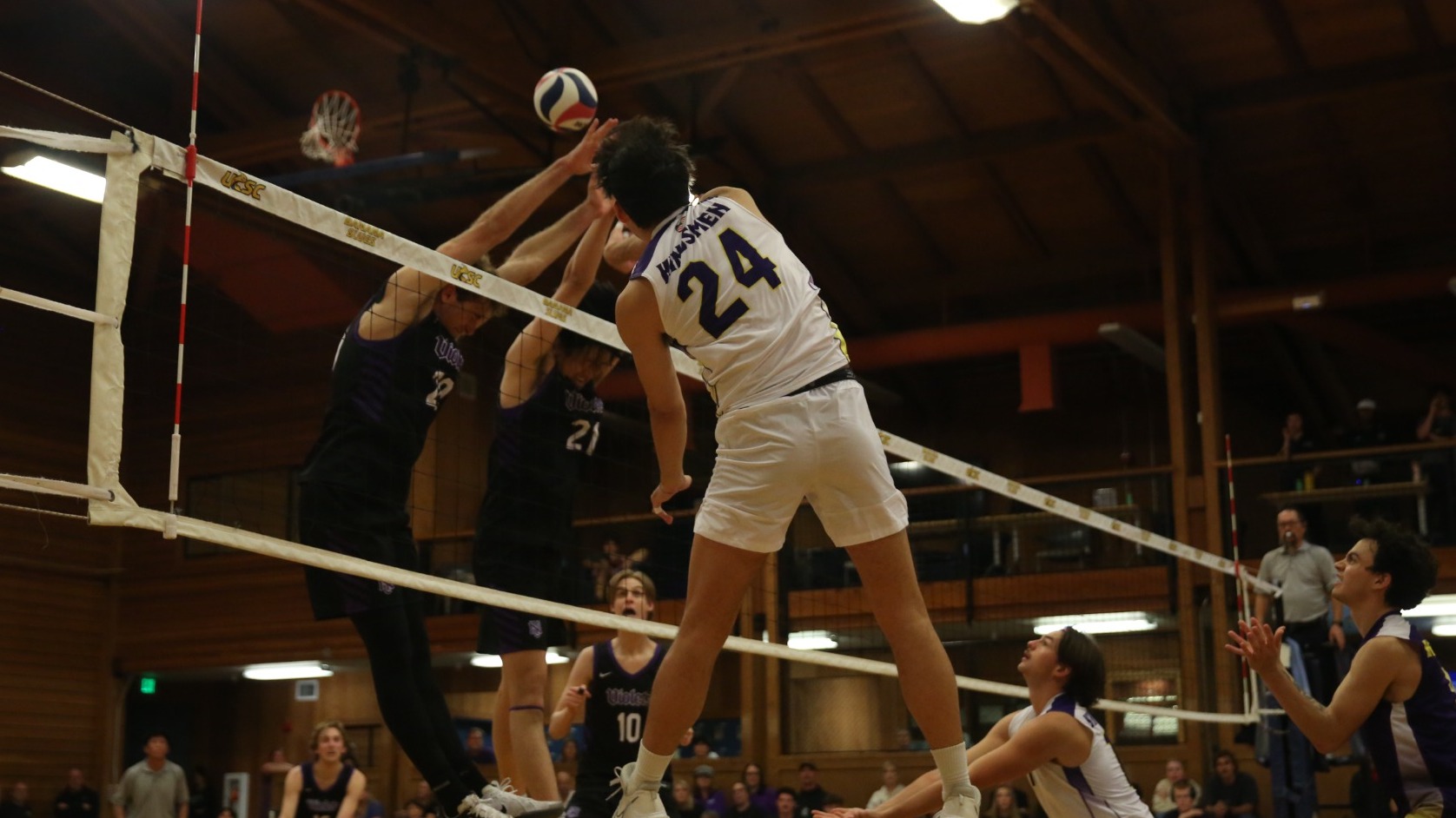 brendan hom mvb 2026