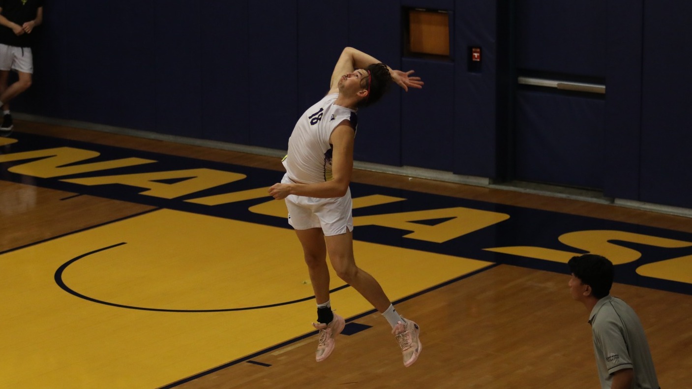 matt wilcox mvb 2026