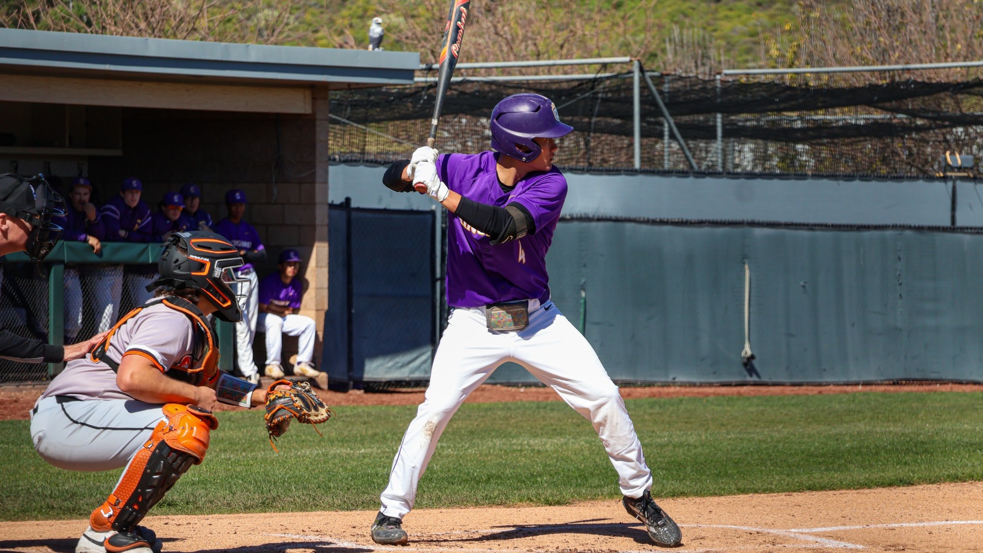 jona dawson bsb 2026