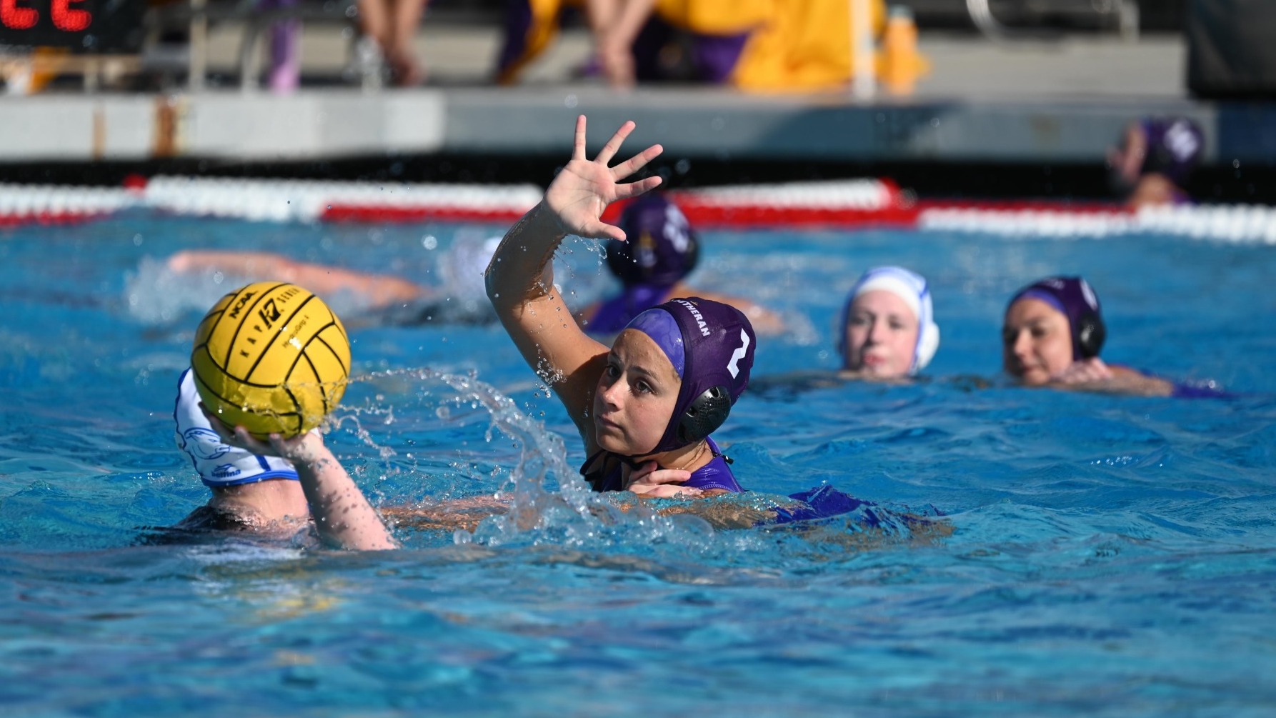 jacqui brandon wwp 2026