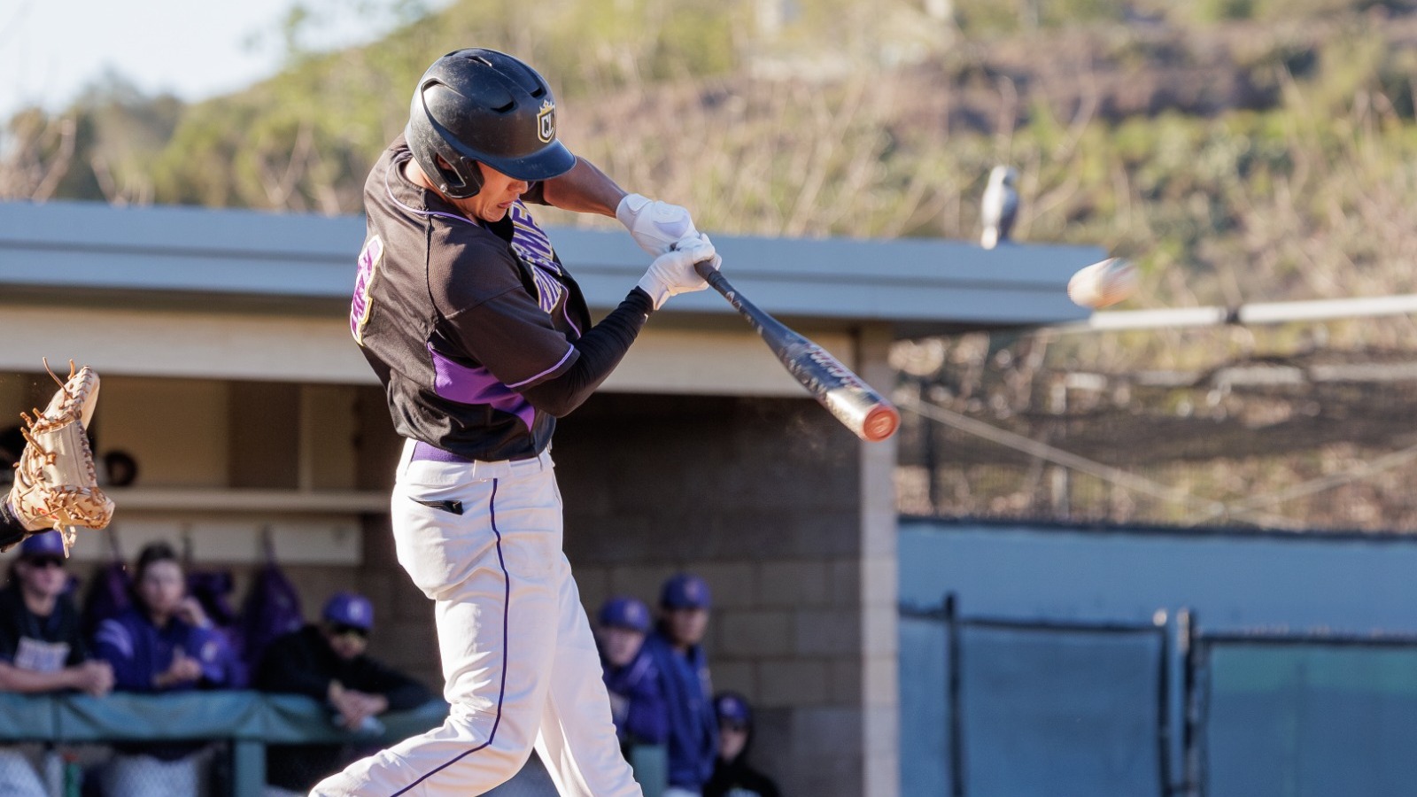 jona dawson bsb 2026