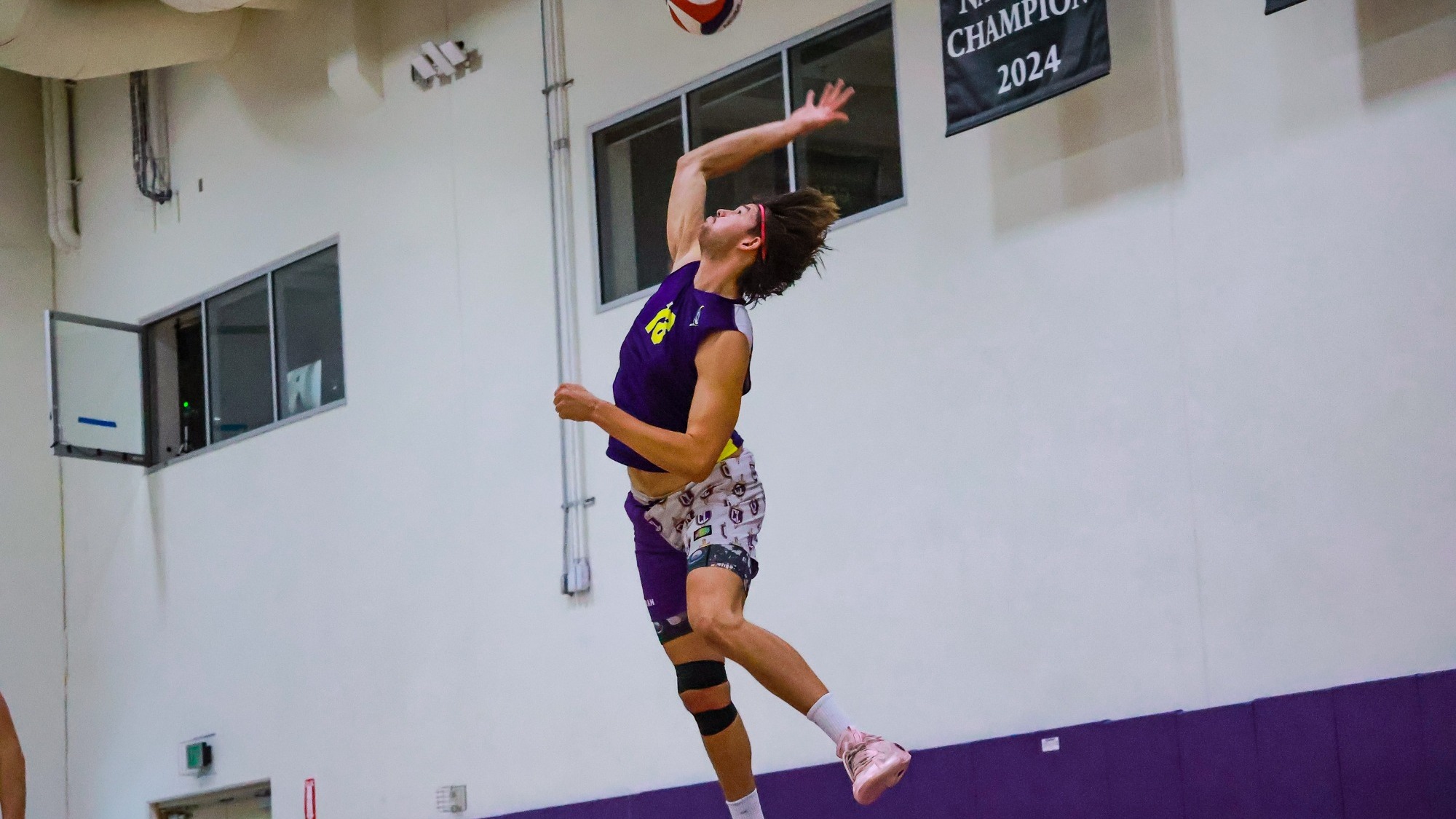 matthew wilcox mvb 2026