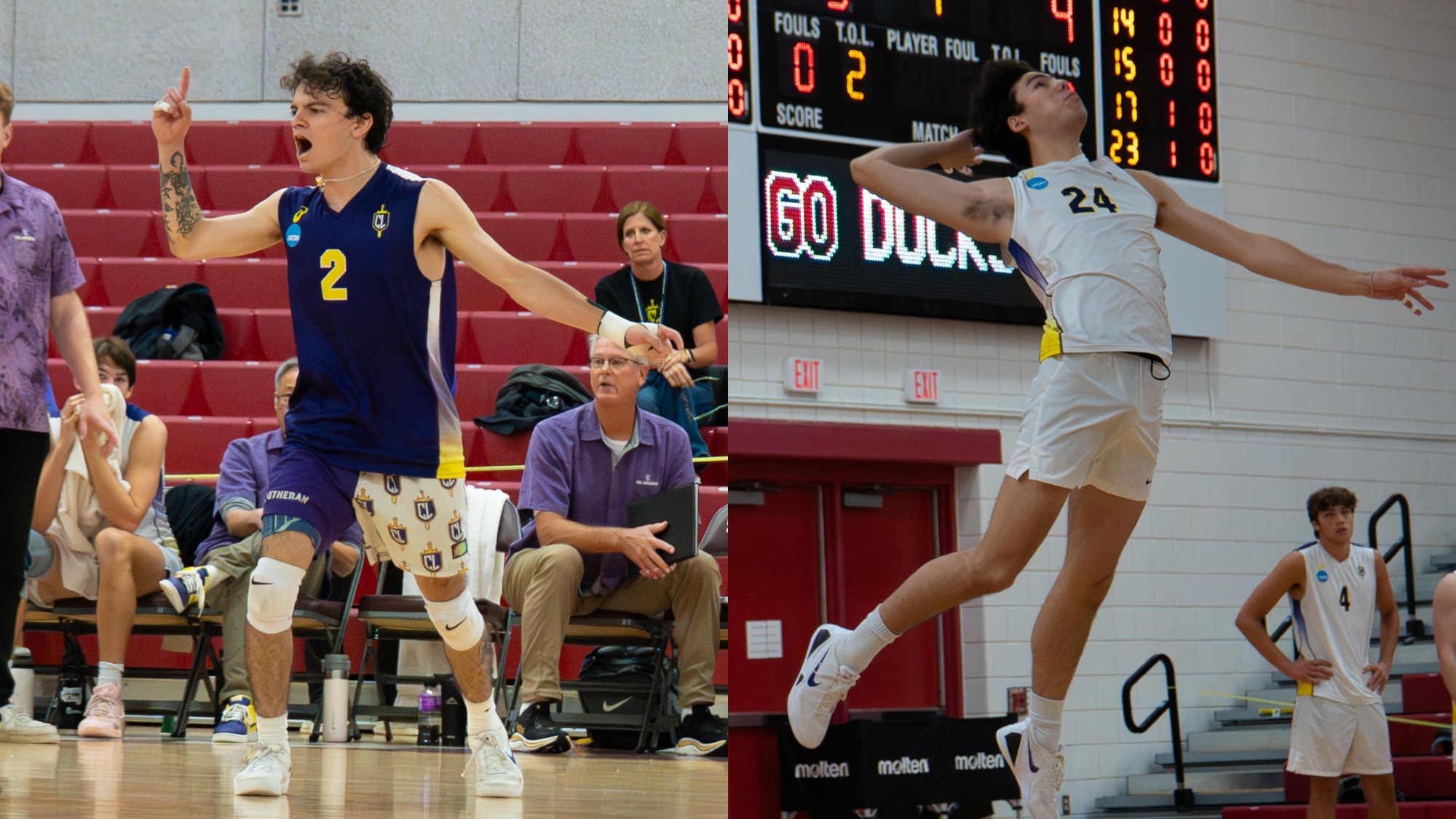 gonzales, hom avca all-americans 2026