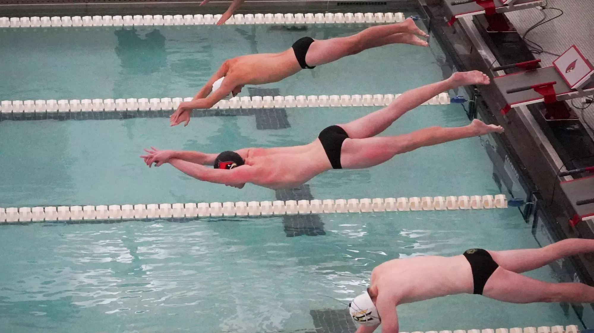 MSWIM vs Randolph Macon Story Photo