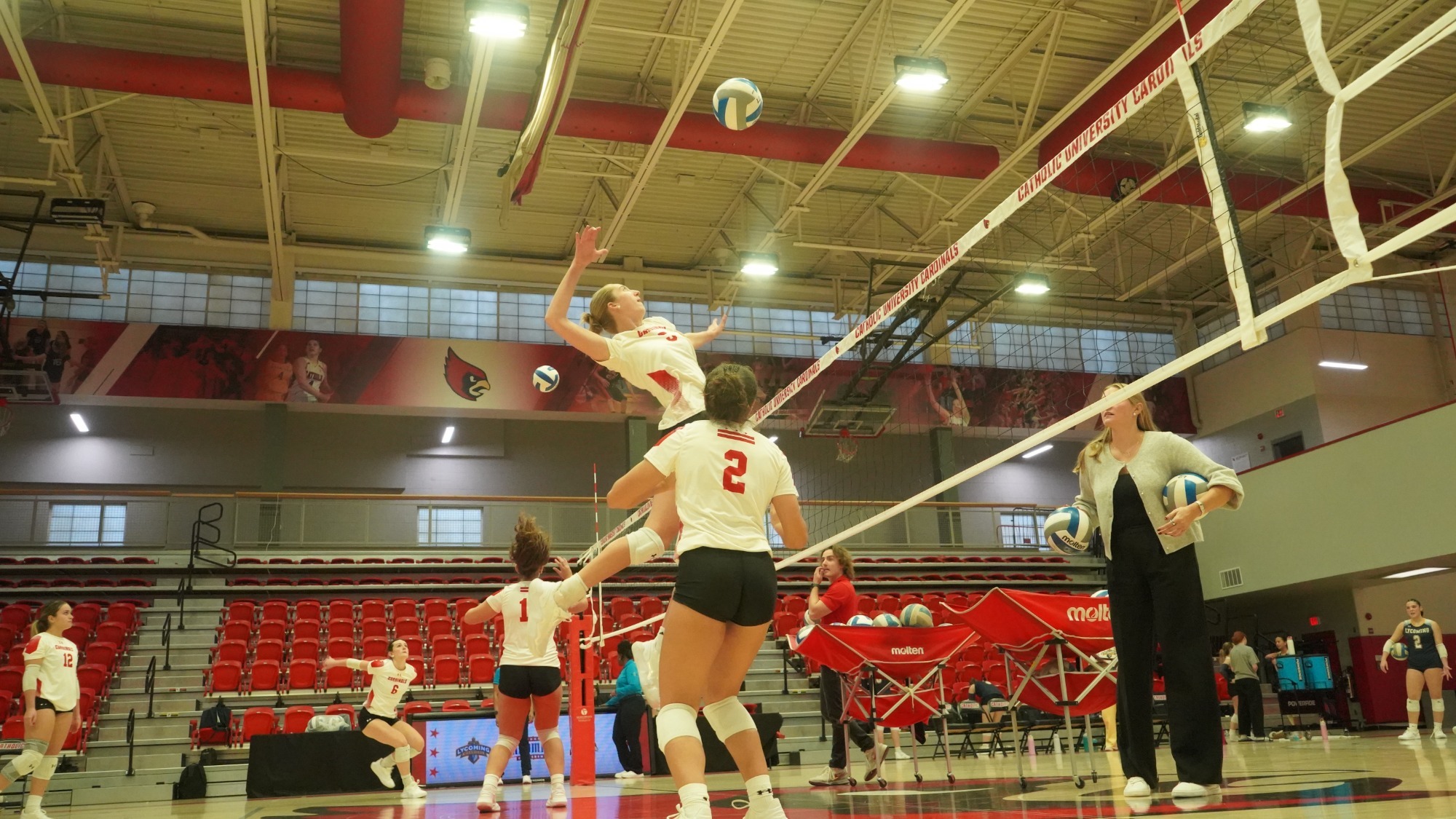 VB v. Lyco