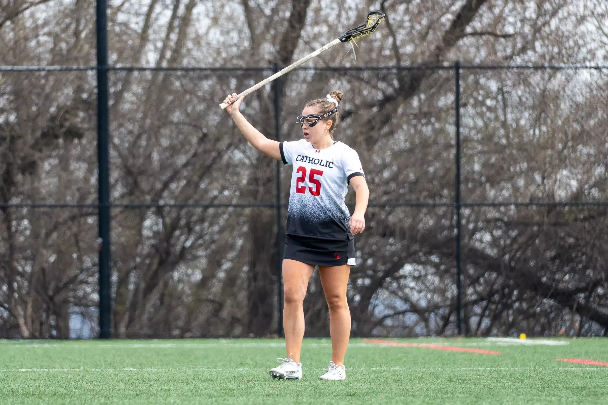 Sawyer v. Shenandoah