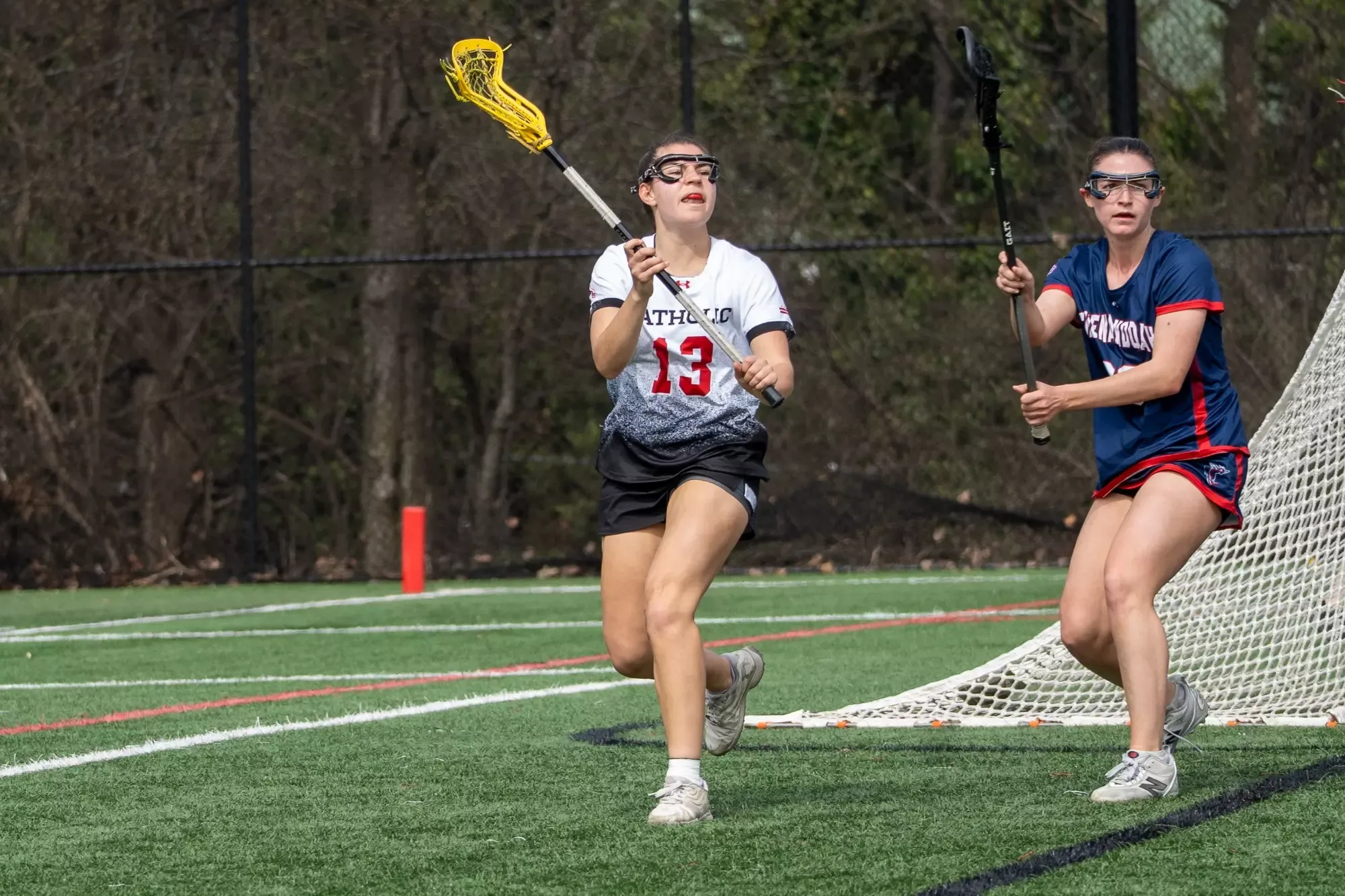 Galarza v. Shenandoah