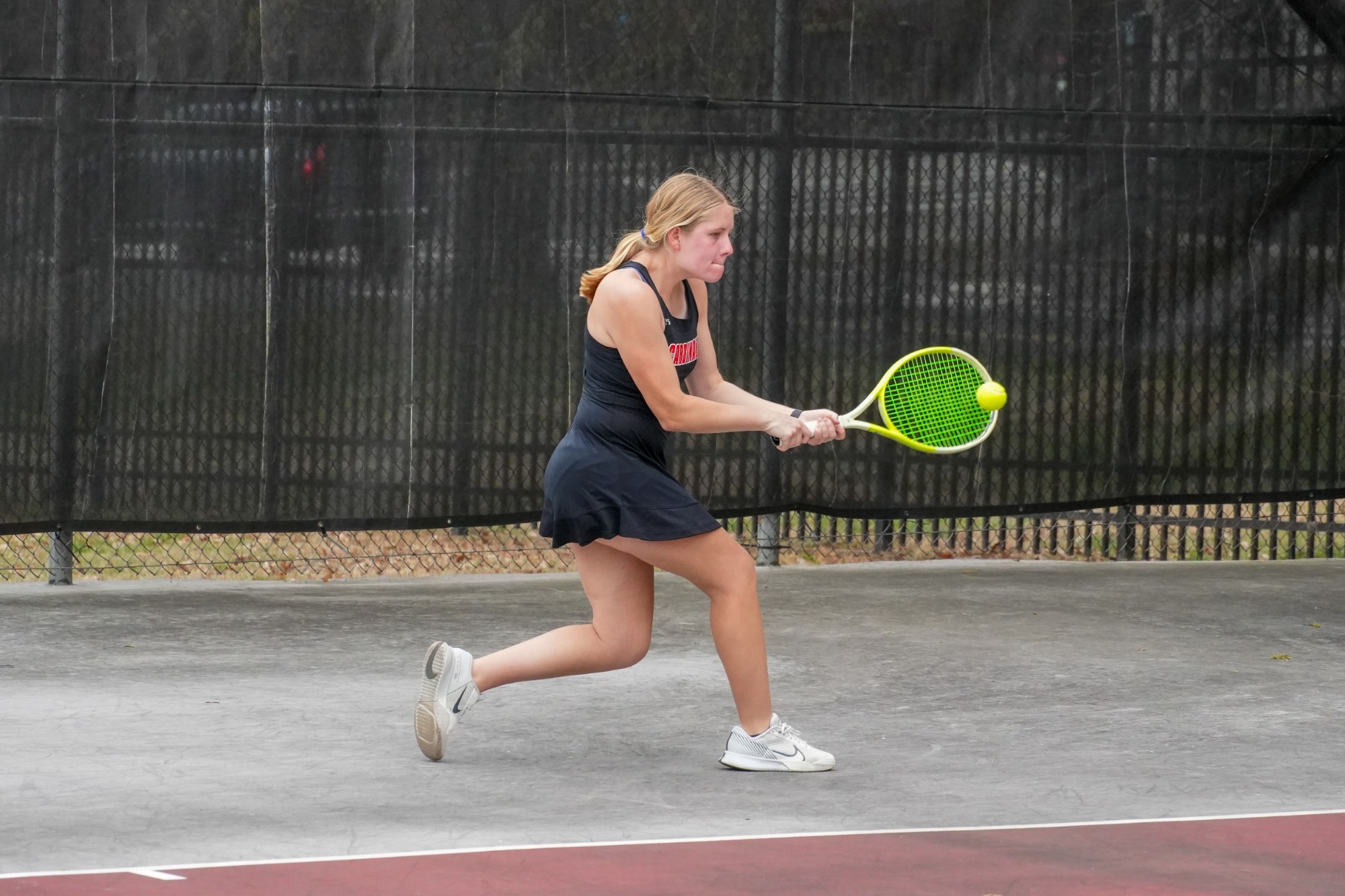 Laniewski v. Stevens