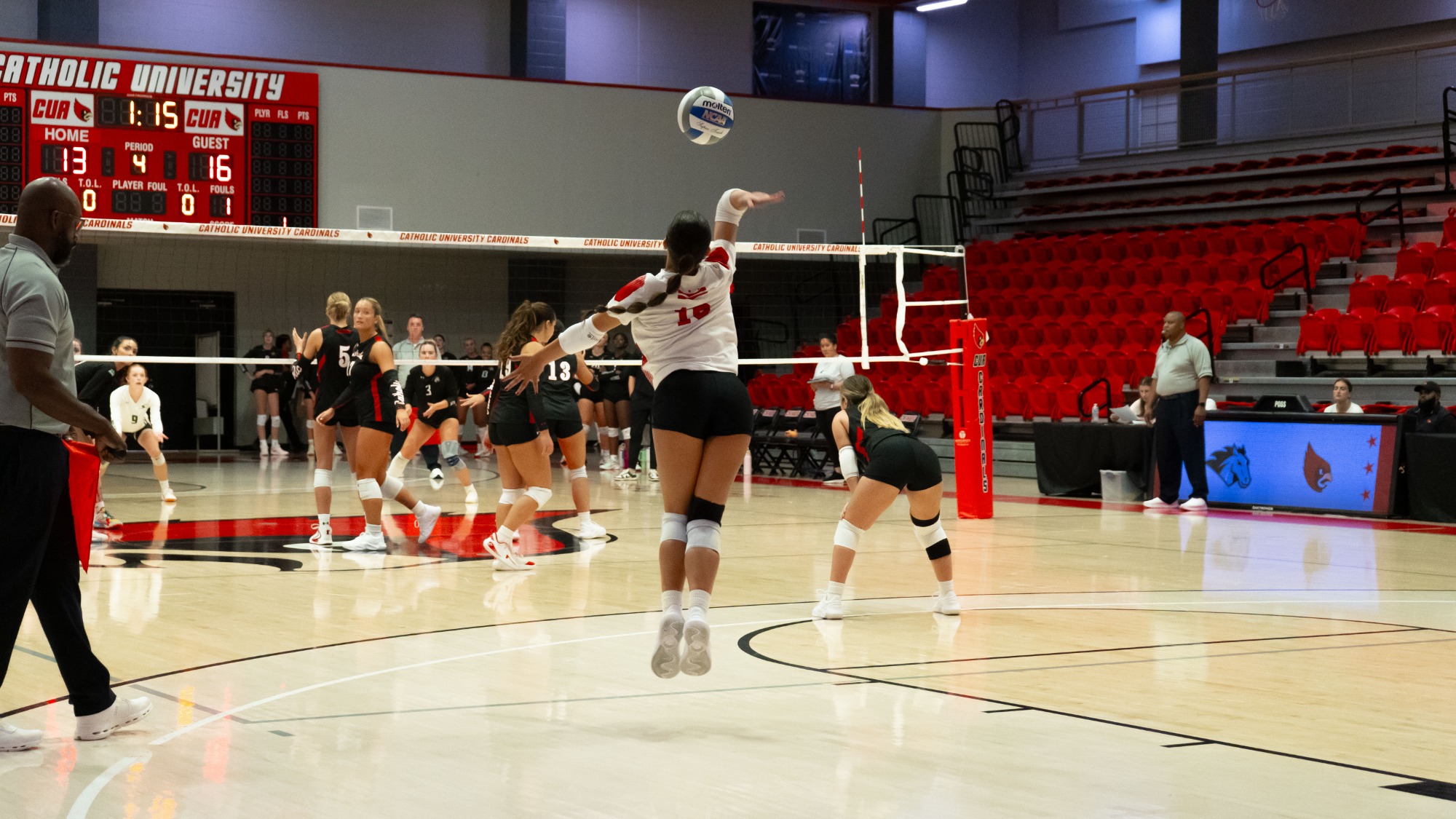 VB v. Stevenson