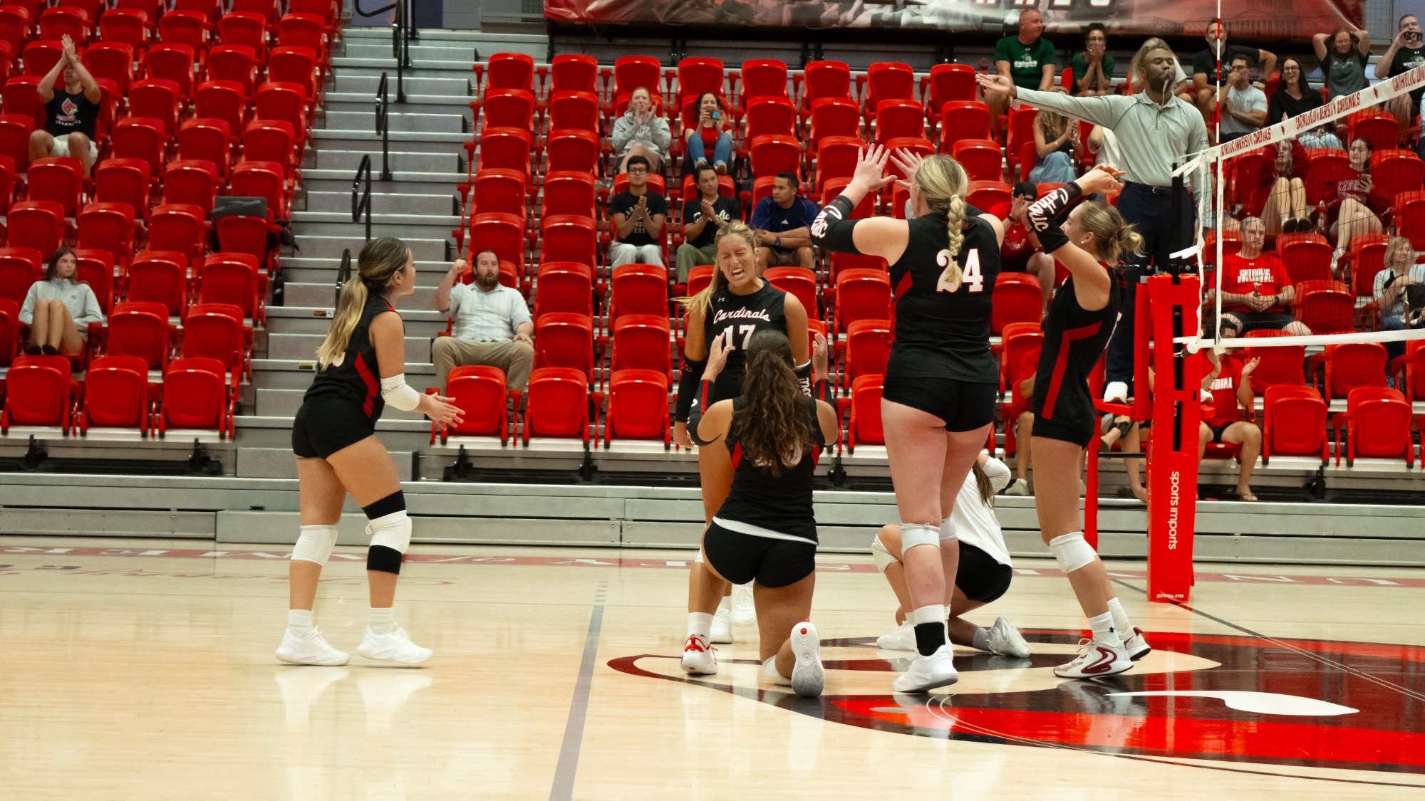 Team Celebration v. Stevenson