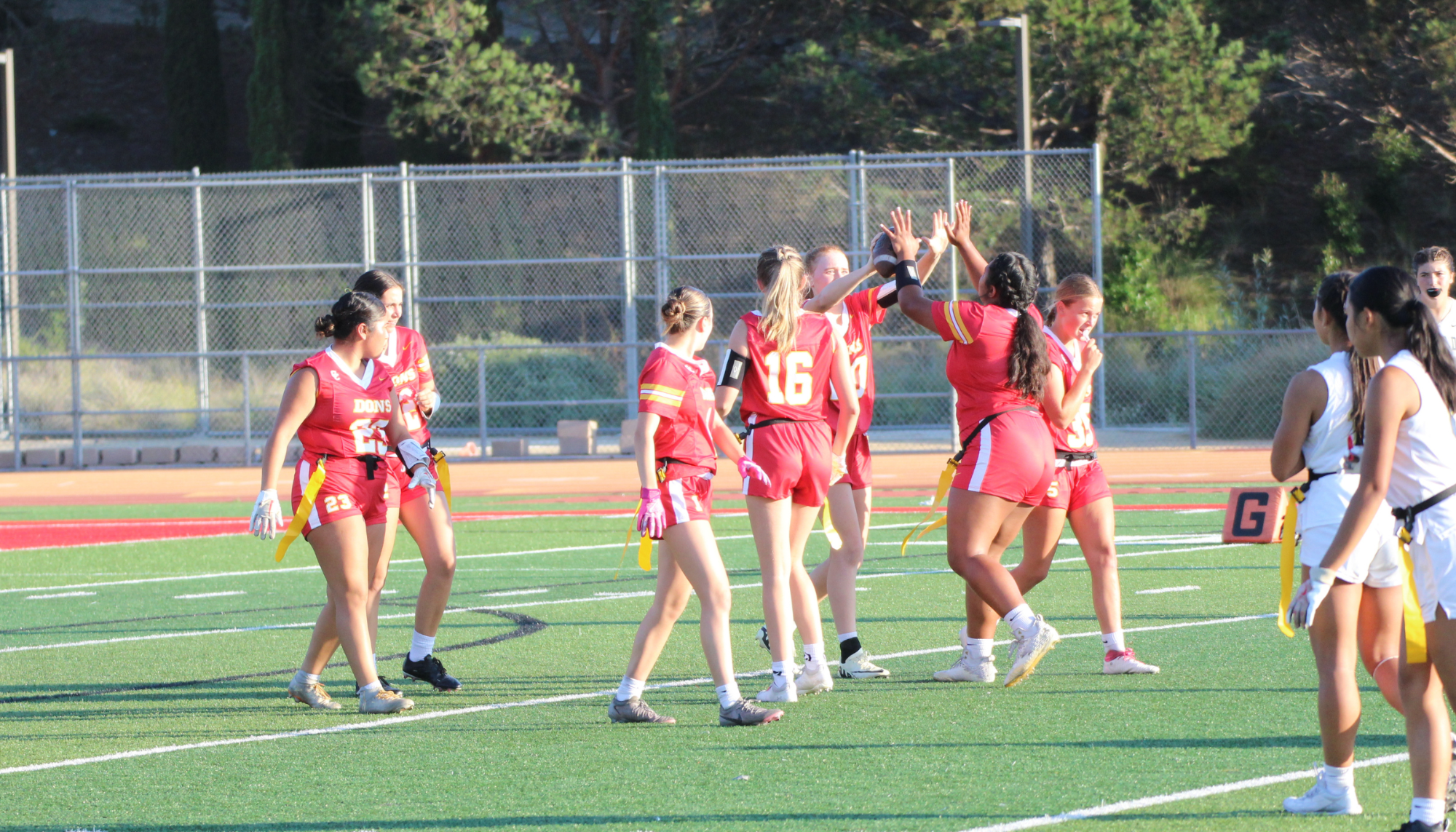 Flag High Fives Action