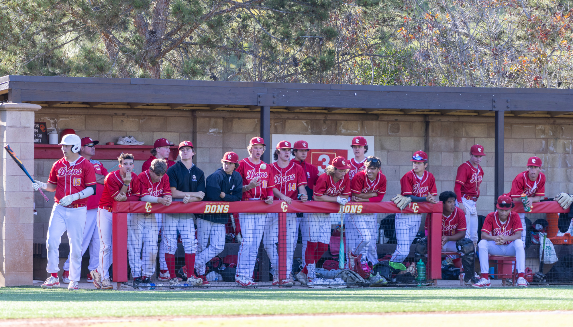 Baseball 2024 Dugout Shot