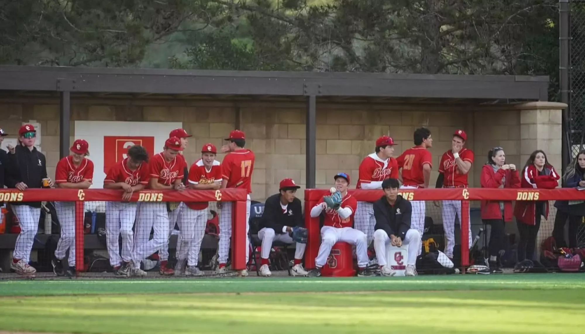 Baseball Dugout Photo
