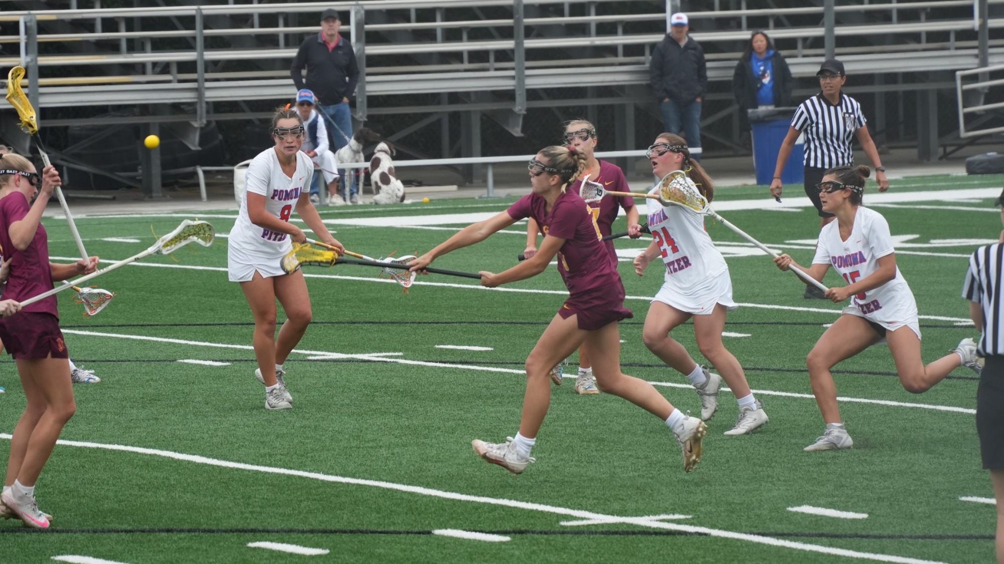 Amelia Ulmer shooting