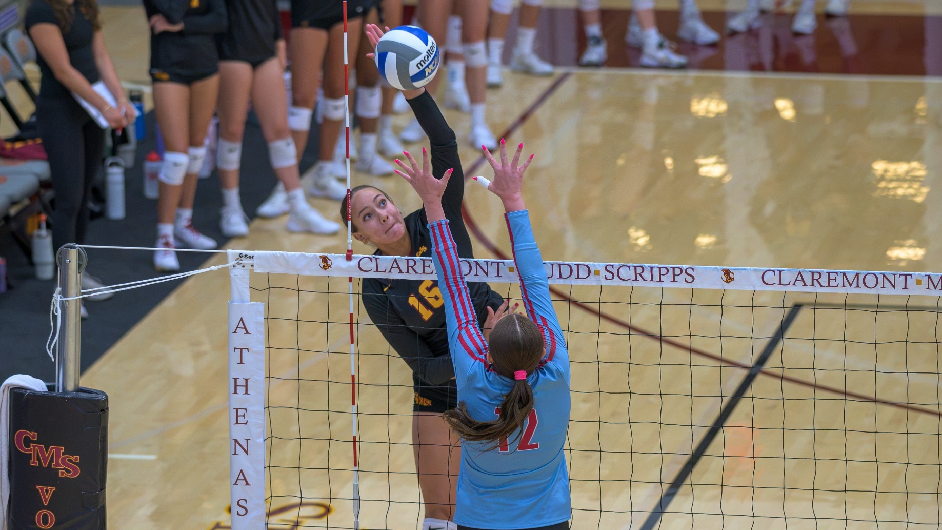 Lauren Staples attacking