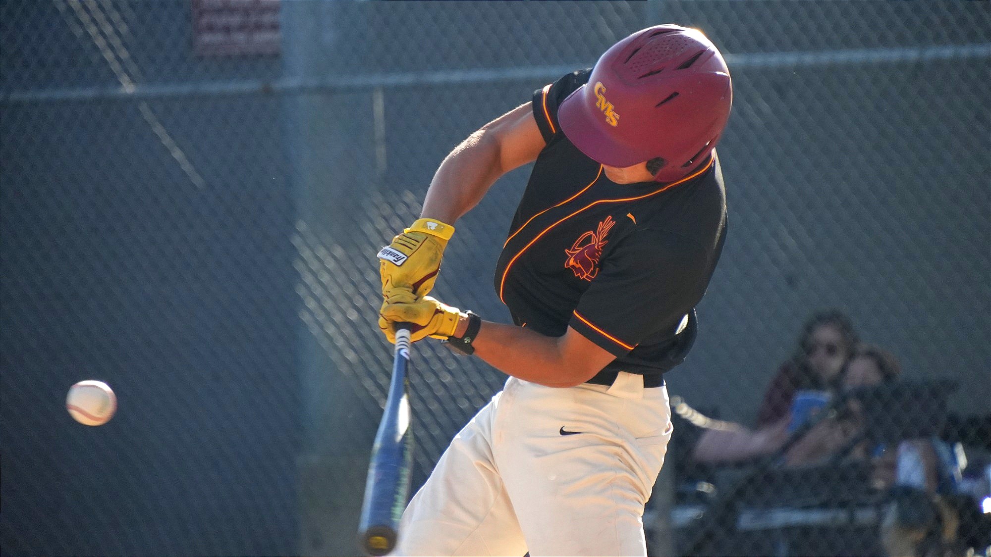 Max Pemberton hitting