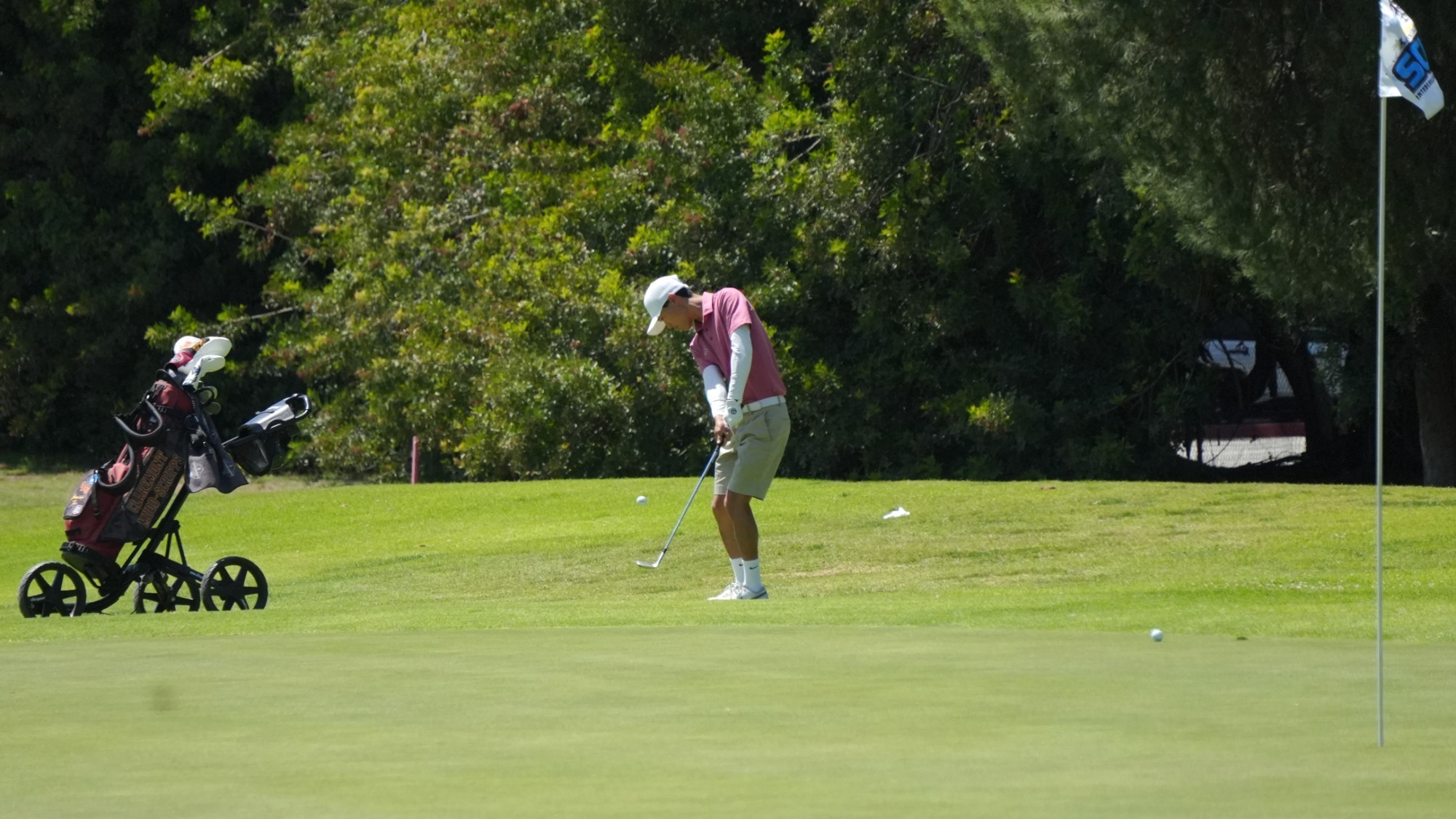 Jamison Tan chipping