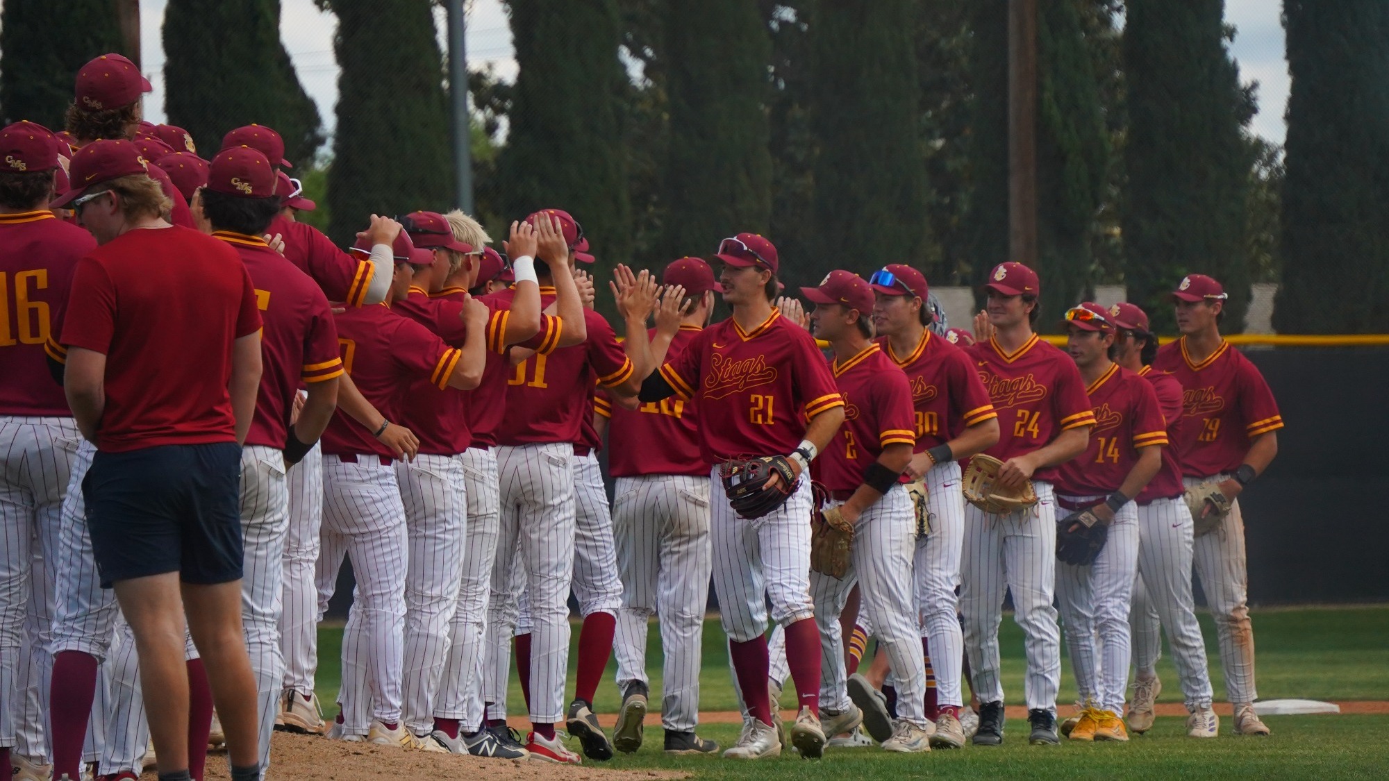Baseball team shaking hands after a game