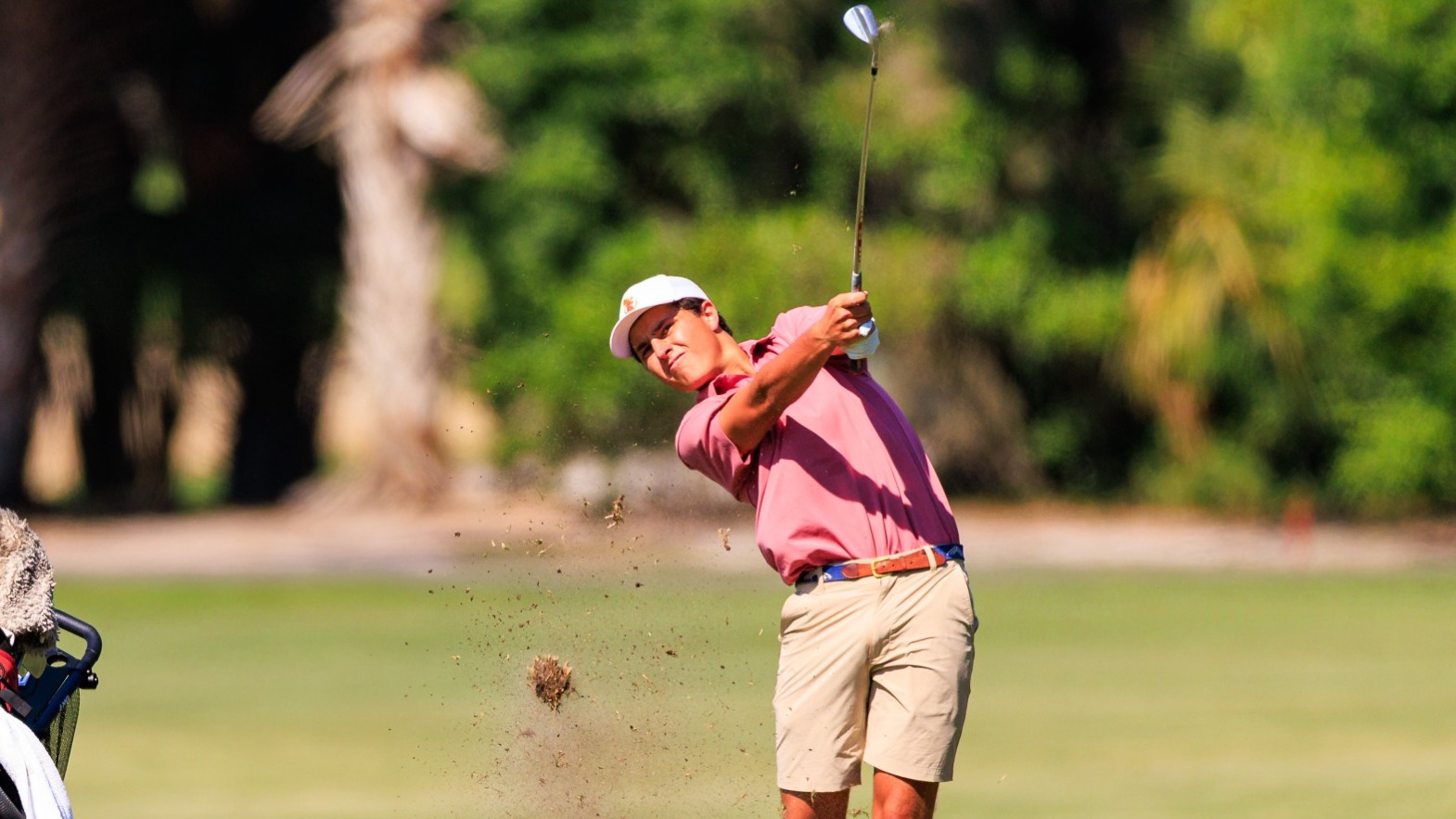 Sebi Aliaga chipping