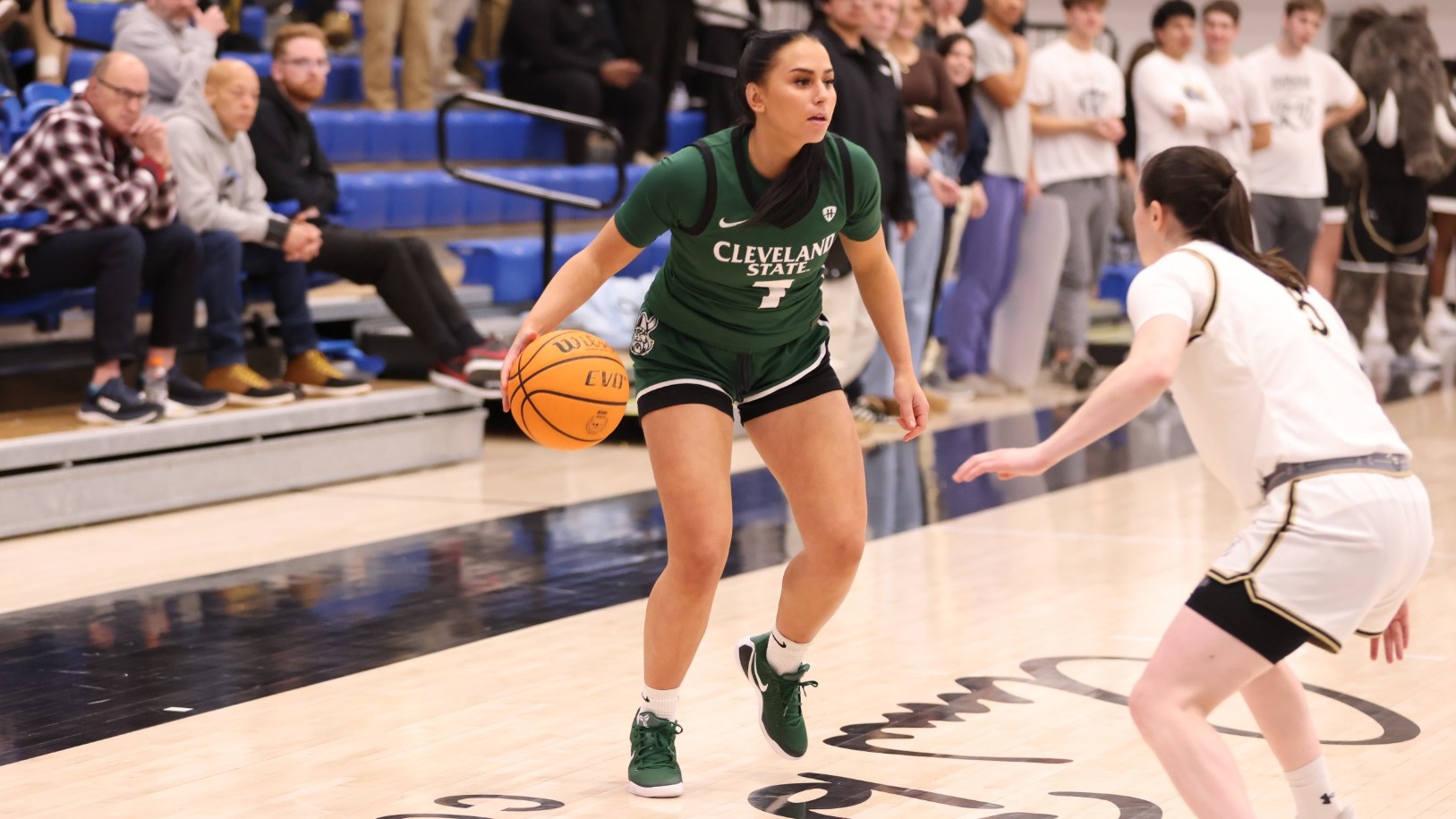 Hanna Medina Kajevic