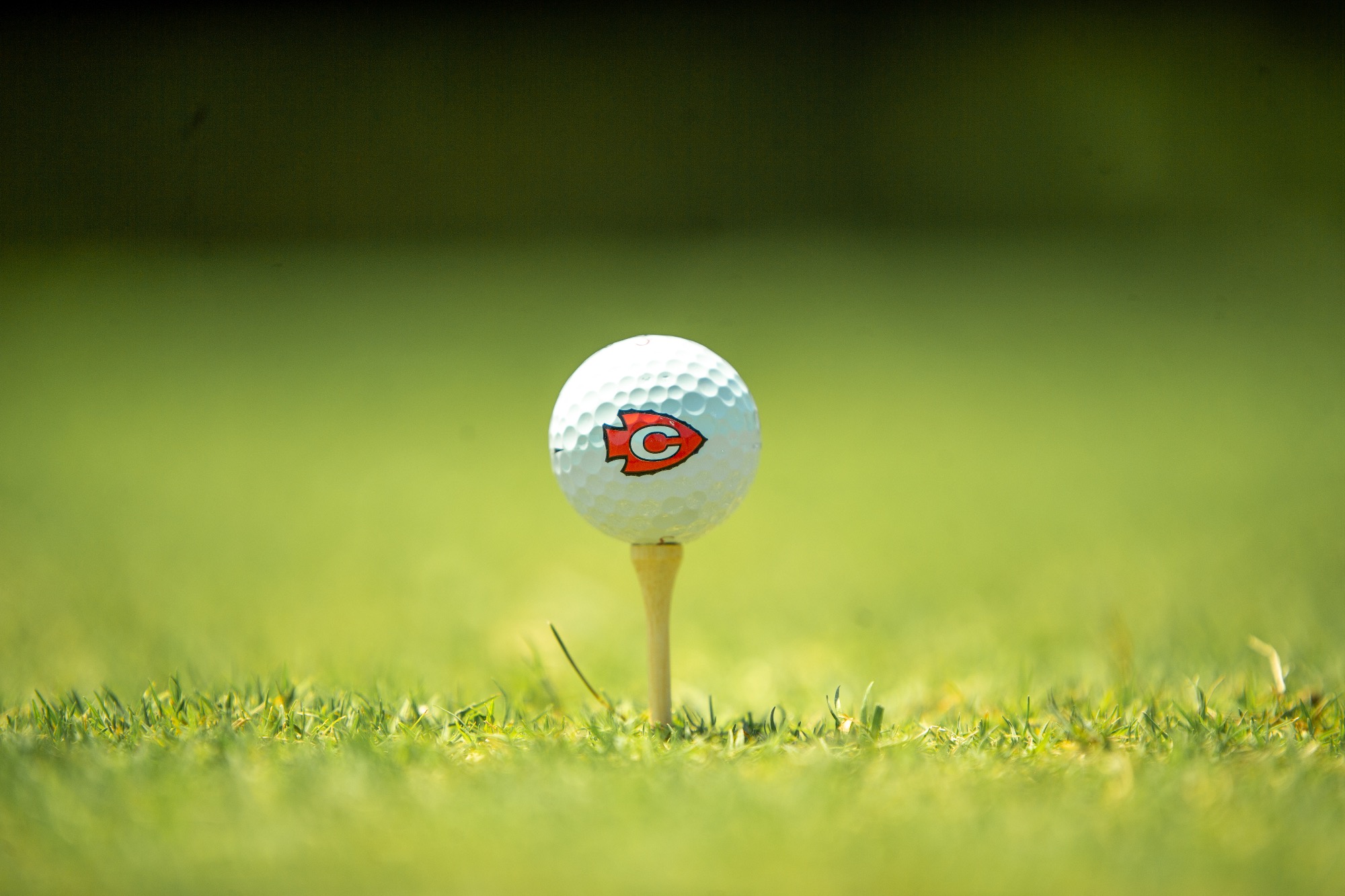 The Arrow Golf team competed in the Mav Invitational on Wednesday, Aug. 21, at Lake Caroline Golf Club in Madison.