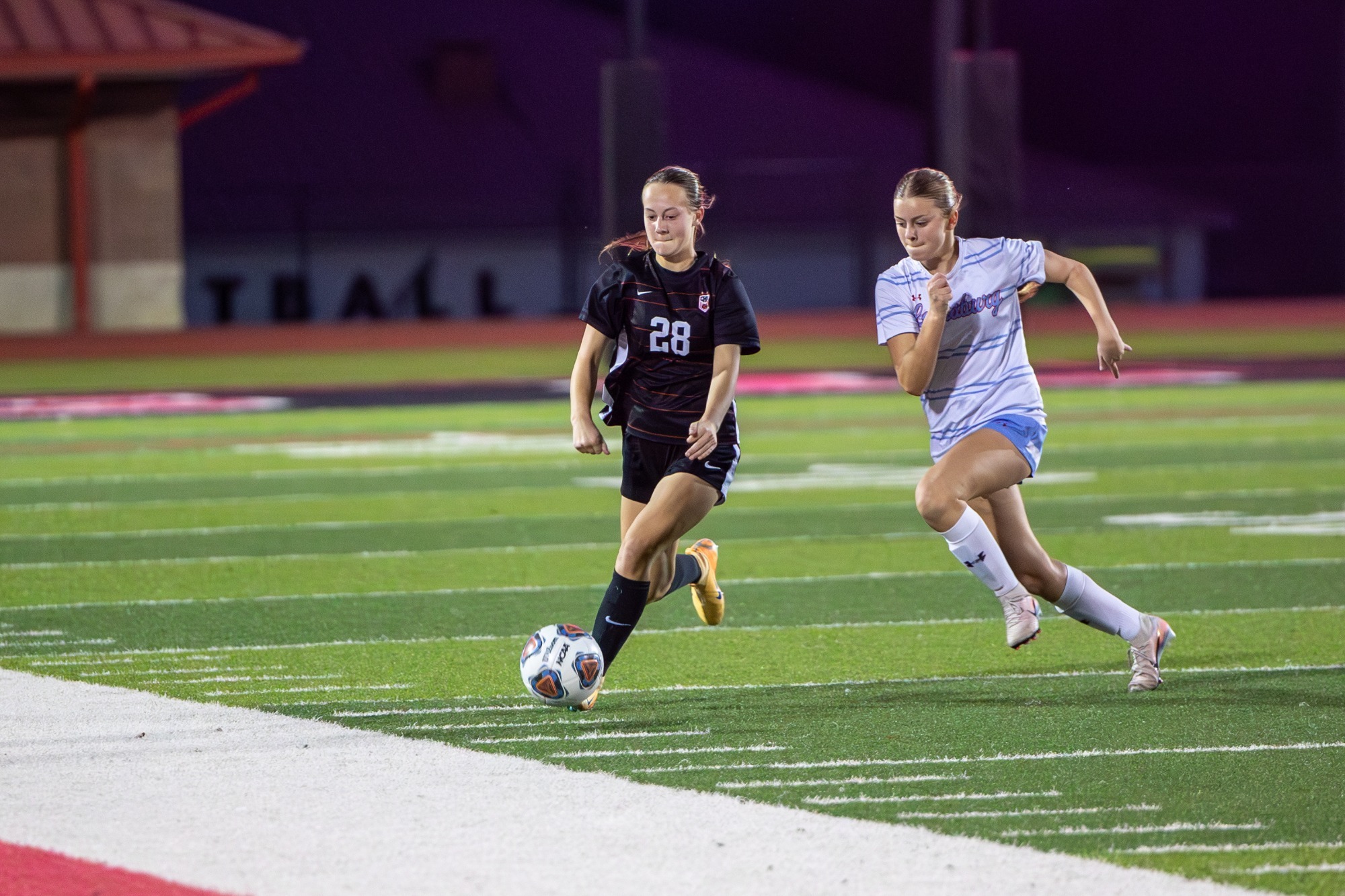 Leah Strickler fights for the edge against a Lewisburg Lady Patriot.