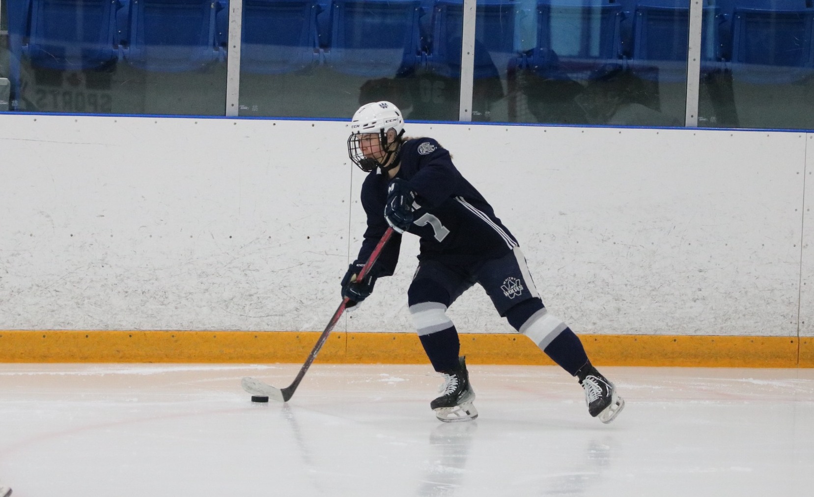 Var G Hockey Brooklin 1