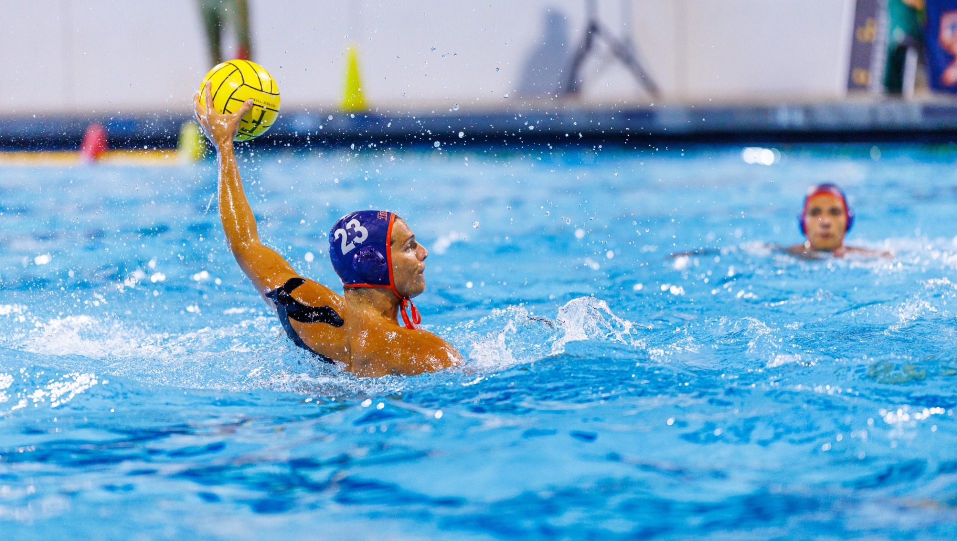 Francesco Schiaffino