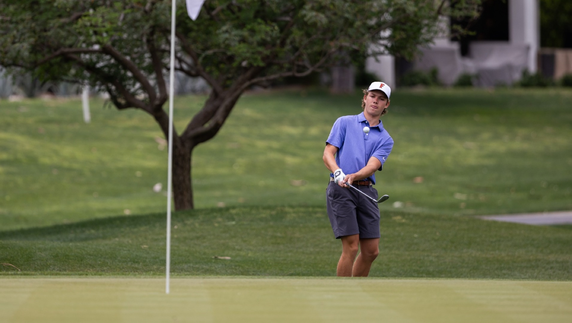 Will Tanaka at BW Championship