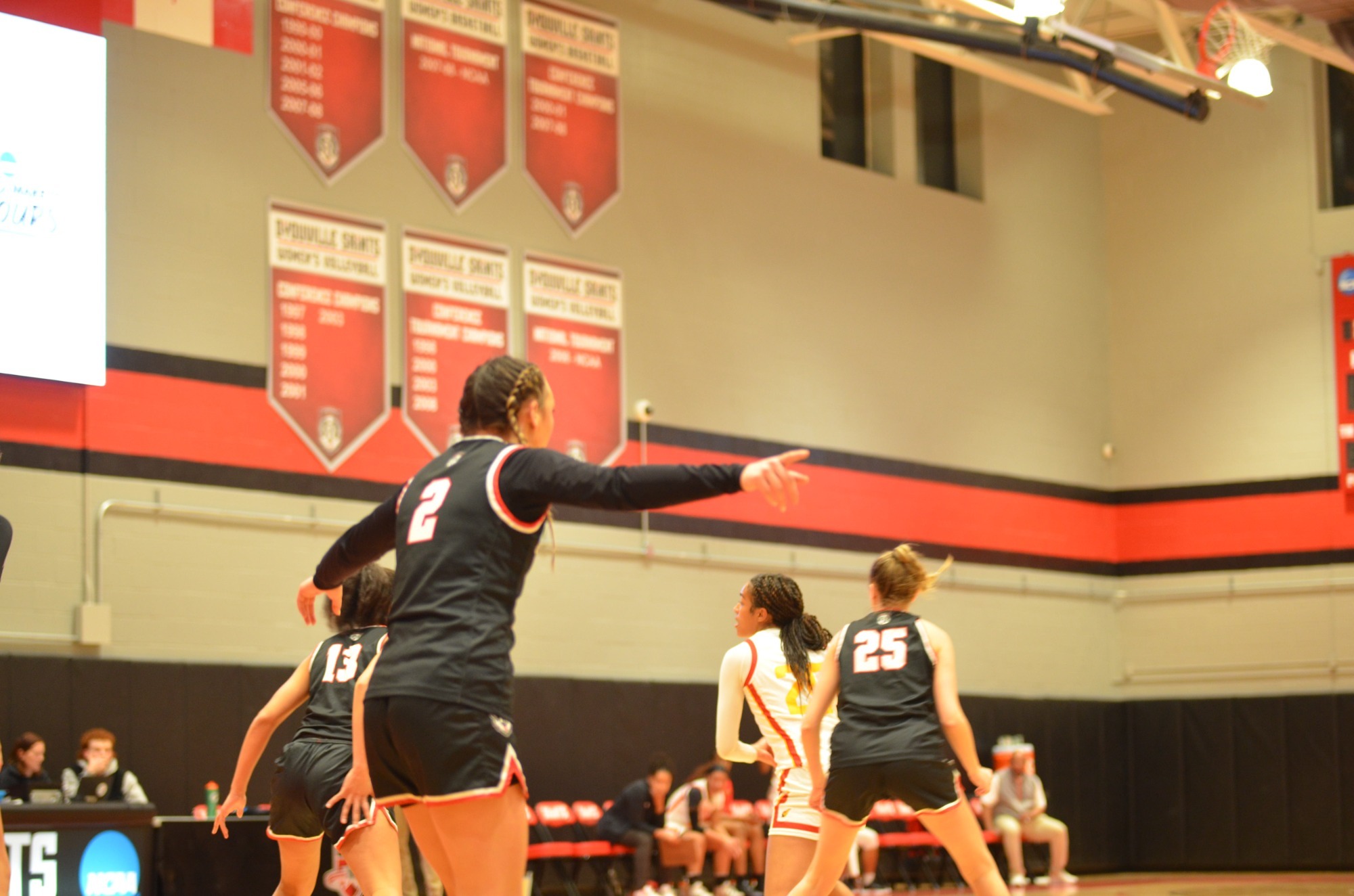 Women's Basketball Faces Walsh in Road Matchup on Saturday D'Youville