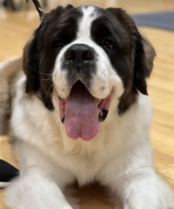 Maggie headshot