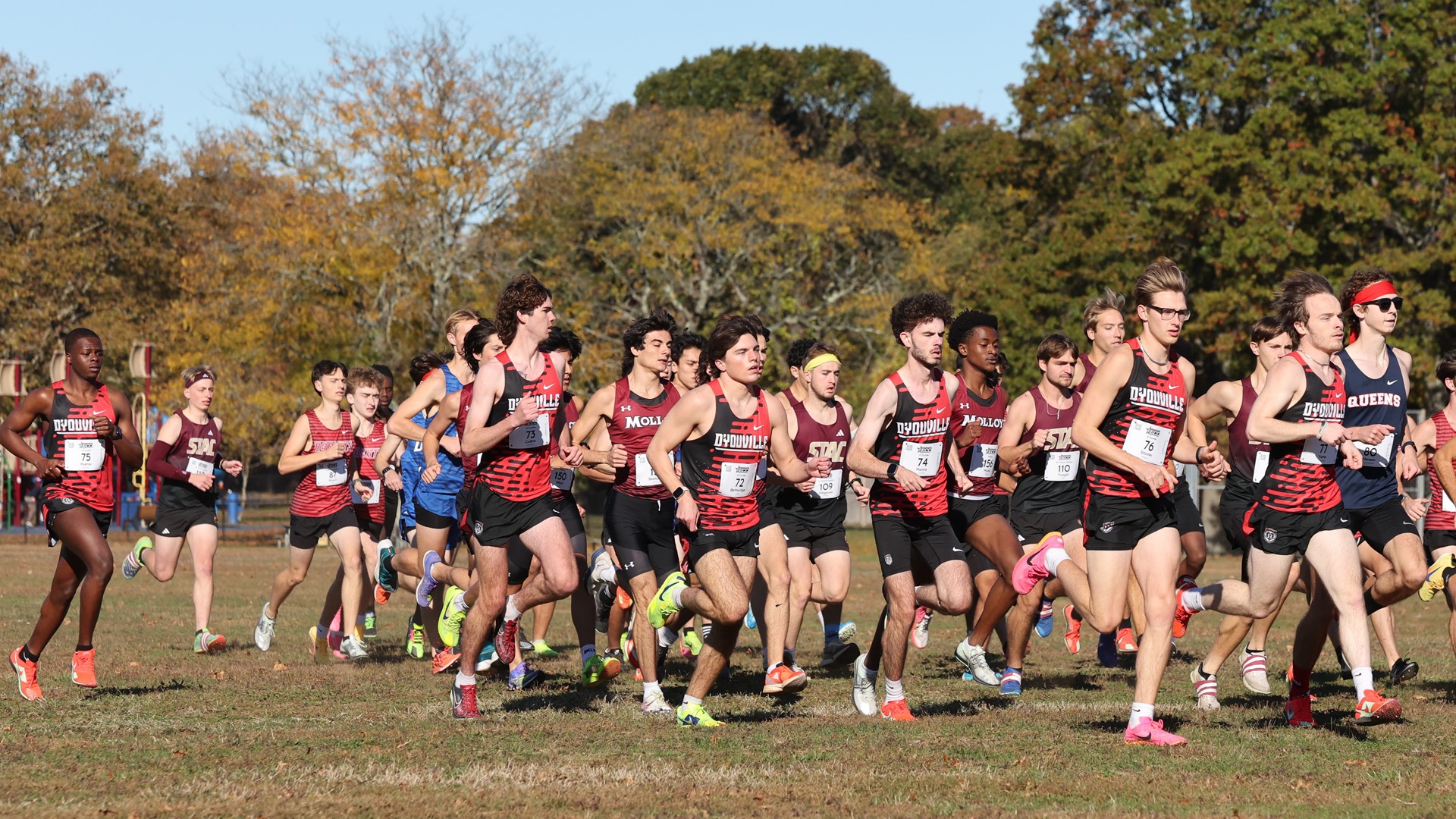 MXC starting conference