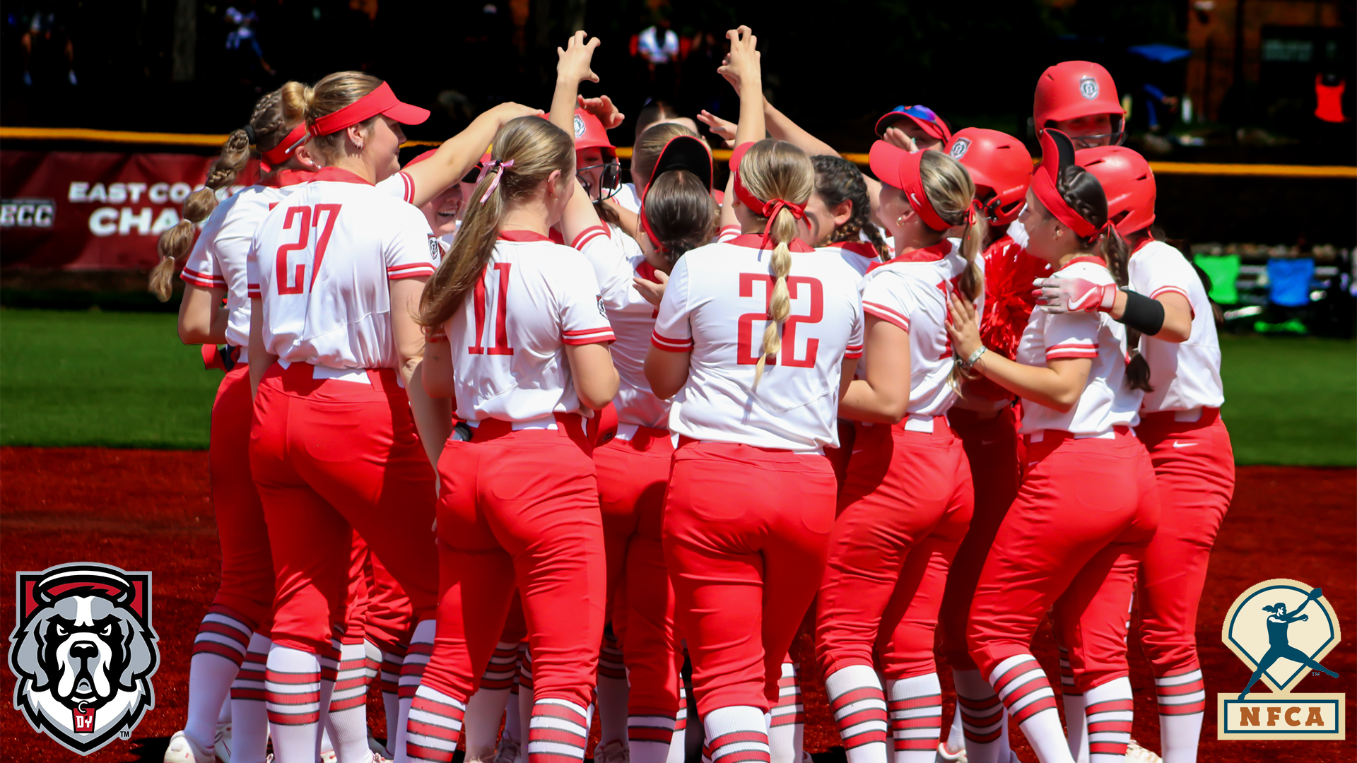 NFCA Softball Academic Award Header