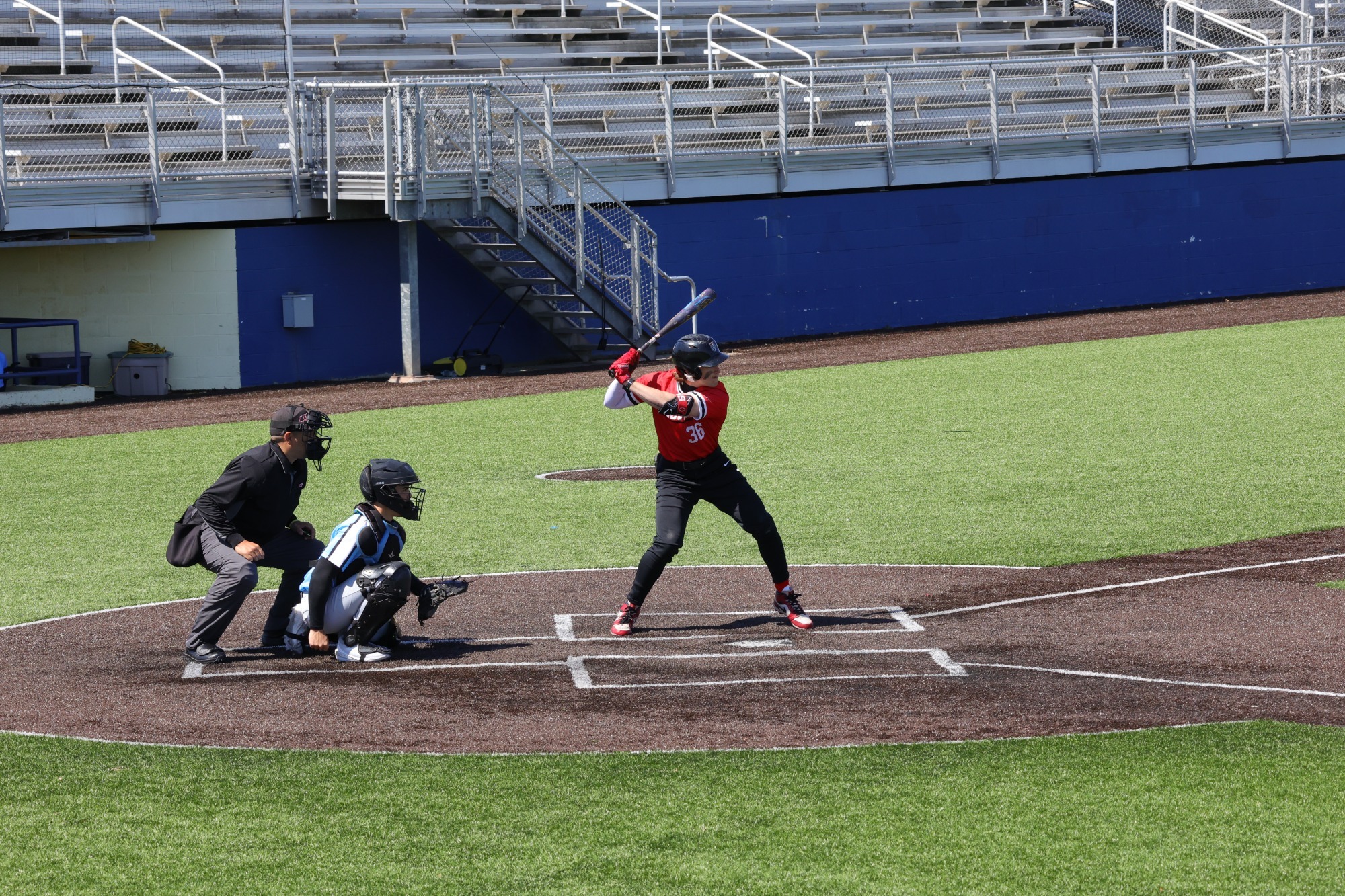 Cefaratti in the box