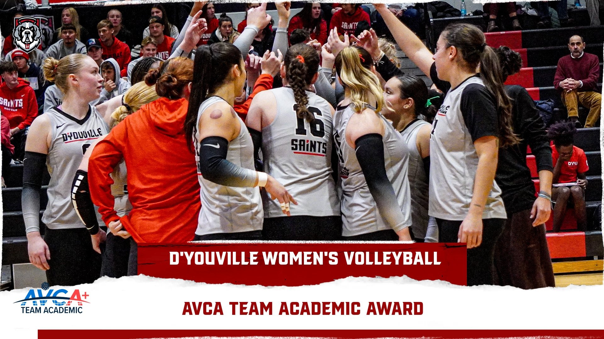 AVCA Academic Award