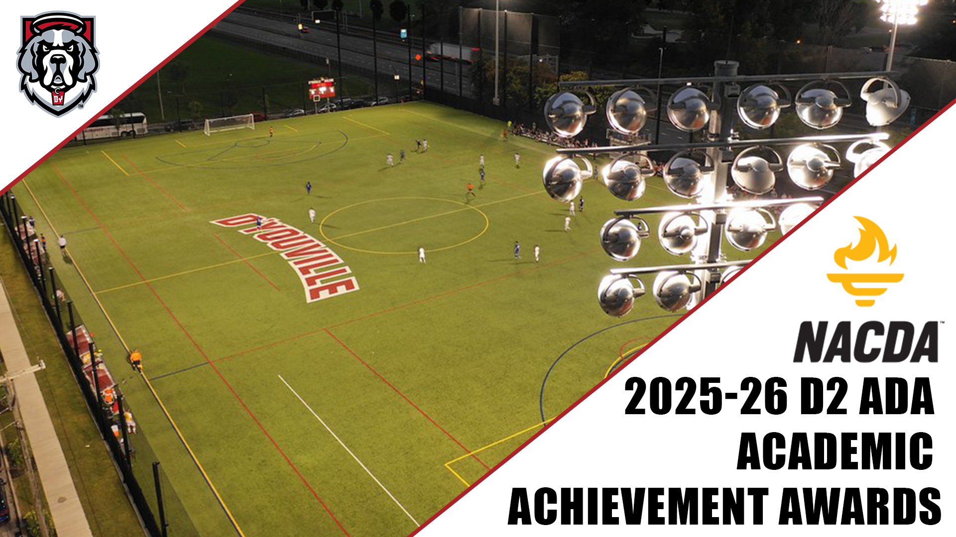 D2 ADA Awards