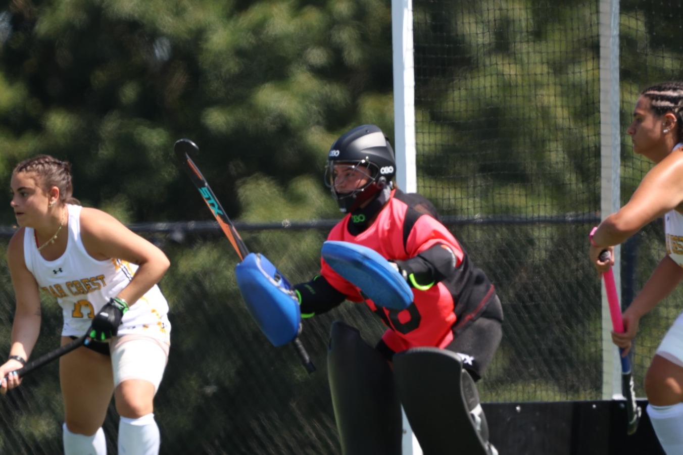 Emma Huante vs Cedar Crest - 2025