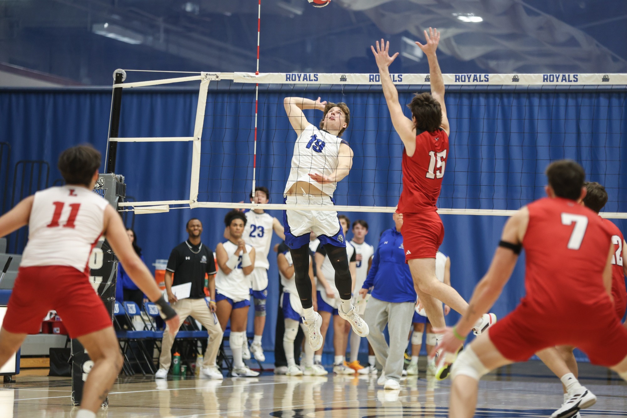 Pierce Donnelly vs Lynchburg - 2026